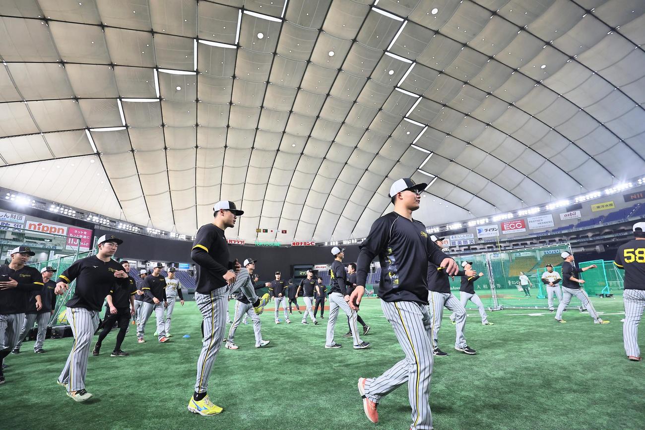 東京ドームでウオーミングアップをする阪神ナイン（撮影・上田博志）