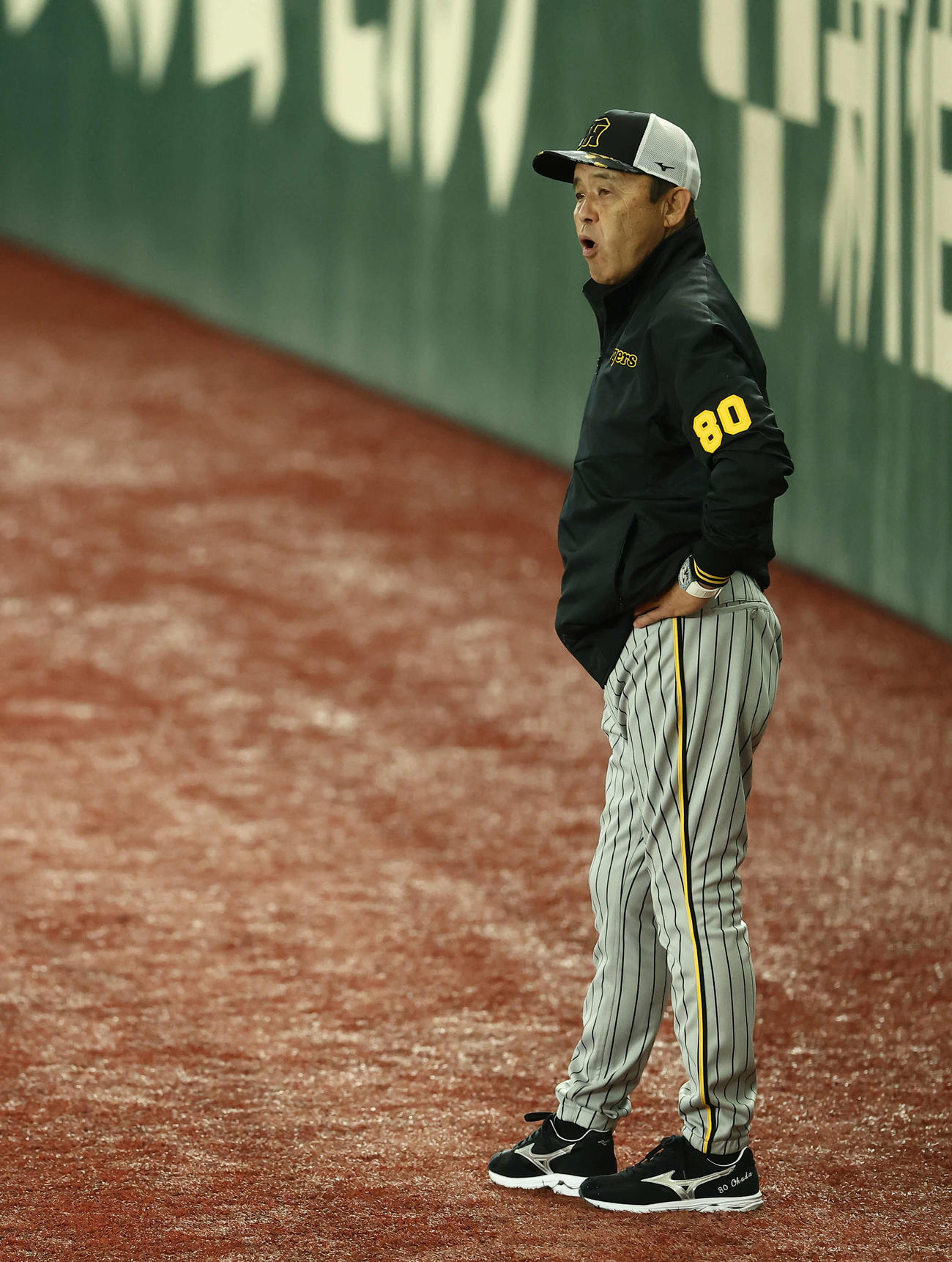 巨人対阪神　試合前、練習を見守る阪神岡田監督（撮影・河田真司）