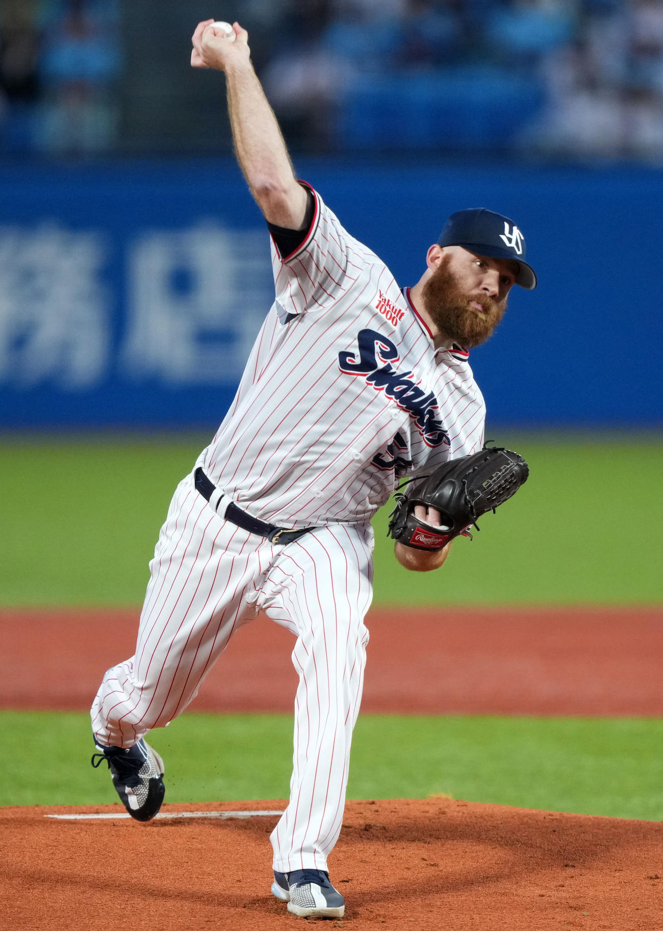 ヤクルト対中日　力投するヤクルト先発のサイスニード（撮影・横山健太）