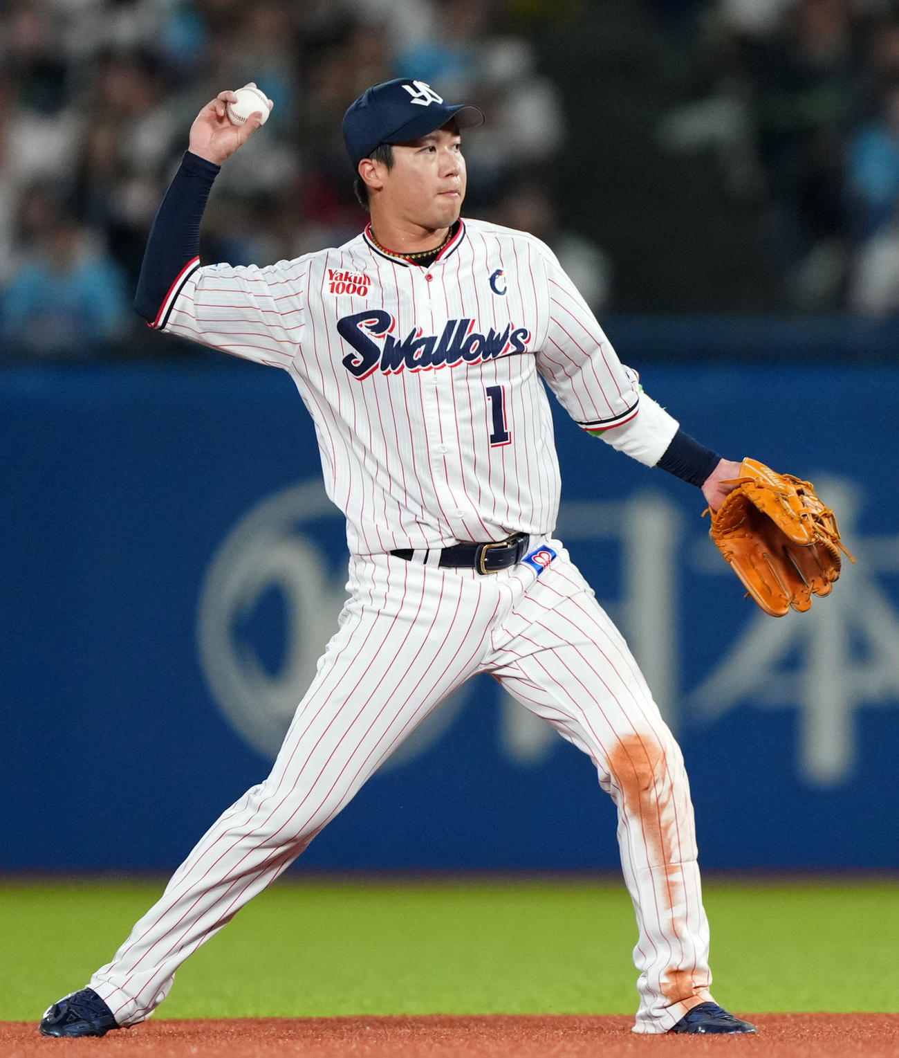 ヤクルト対中日　3回表ヤクルト1死、高橋周平の二ゴロをキャッチし一塁へ送球する山田（撮影・横山健太）