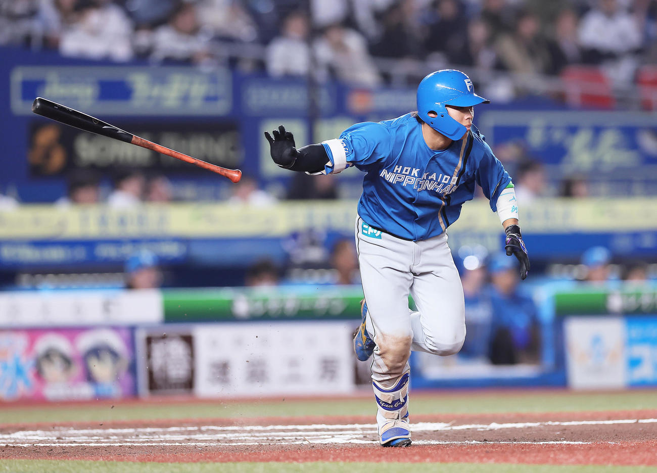 ロッテ対日本ハム　7回表日本ハム1死、田宮は右前打を放つ（撮影・足立雅史）