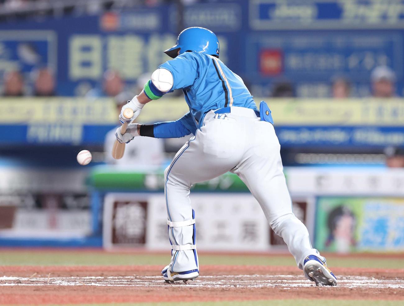 ロッテ対日本ハム　3回表日本ハム無死一、二塁、バントする松本剛（撮影・黒川智章）
