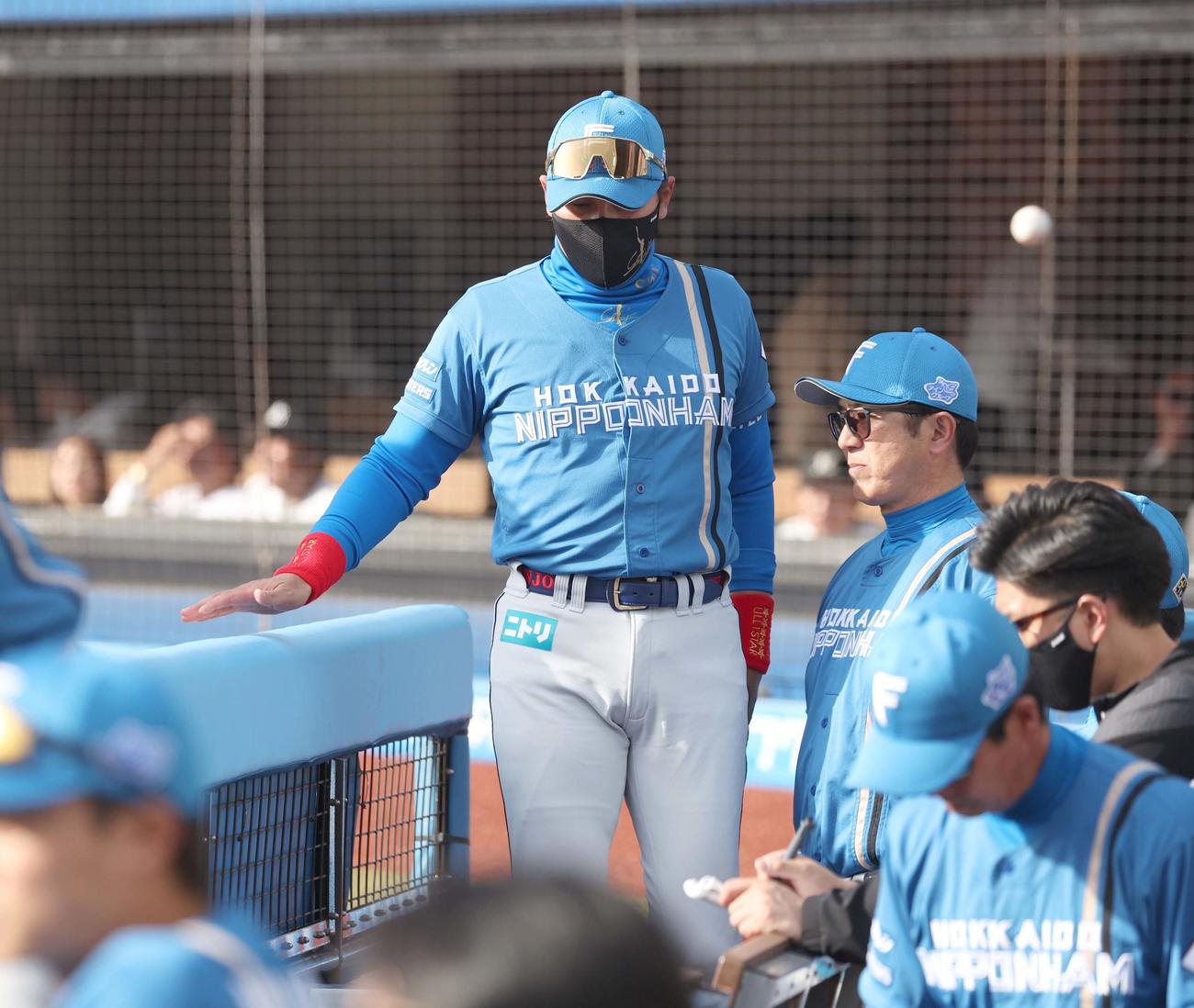 ロッテ対日本ハム　選手交代を告げる新庄監督（撮影・黒川智章）