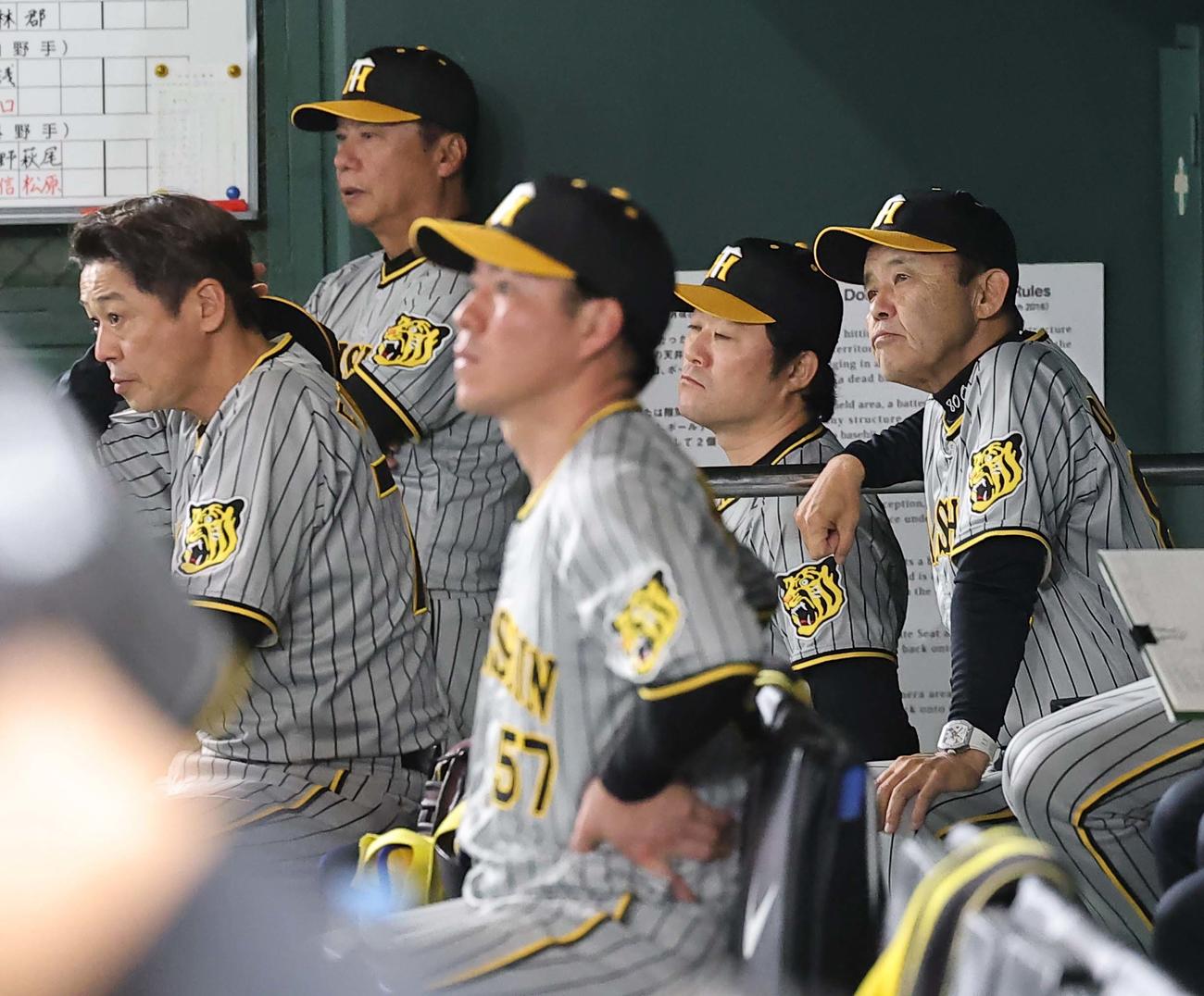 巨人対阪神　岡田監督（右）はベンチで戦況を見守る（撮影・上田博志）