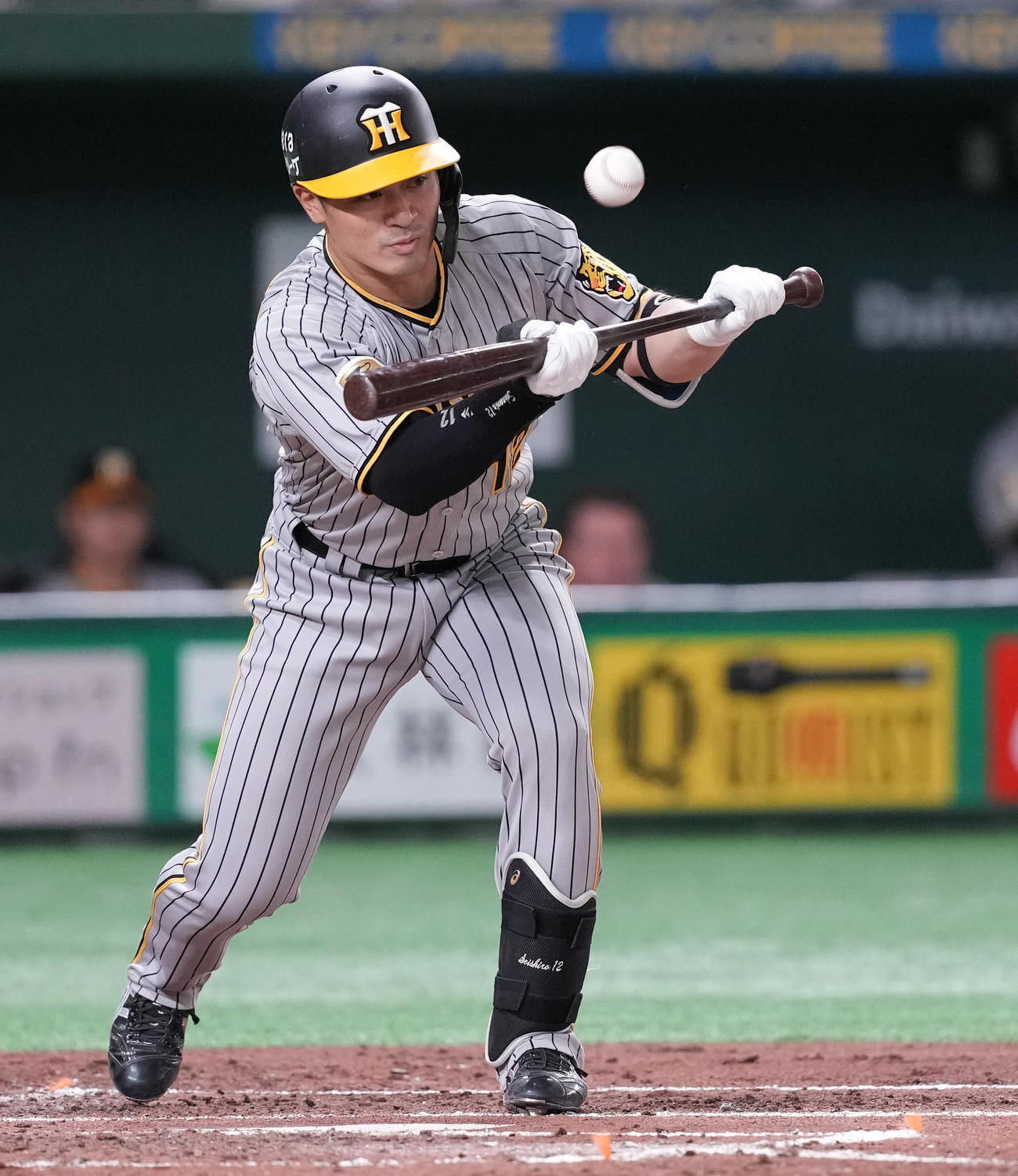 巨人対阪神　4回表阪神1死一、三塁、セーフティースクイズを試みるも一塁手岡本和の好捕で併殺に倒れる坂本（撮影・鈴木みどり）