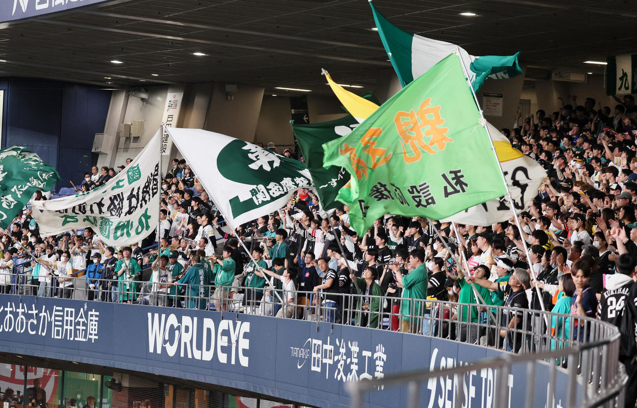 オリックス対ソフトバンク　声援を送るソフトバンクファン（撮影・加藤哉）