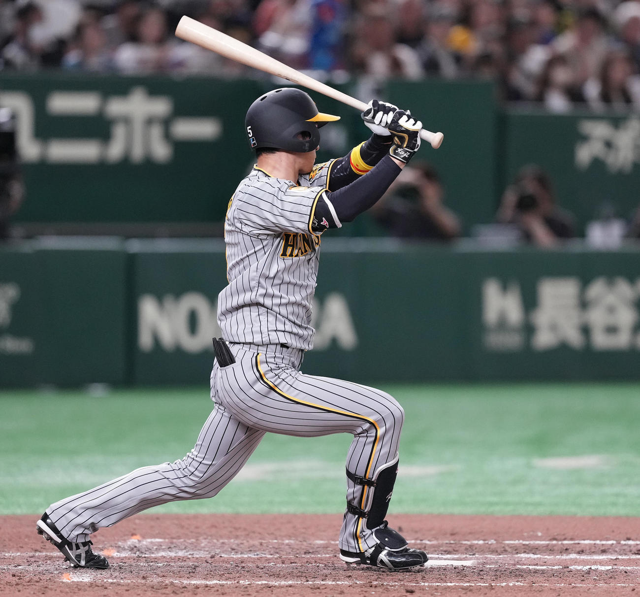 巨人対阪神　8回表阪神1死一塁、左前打を放つ近本（撮影・鈴木みどり）