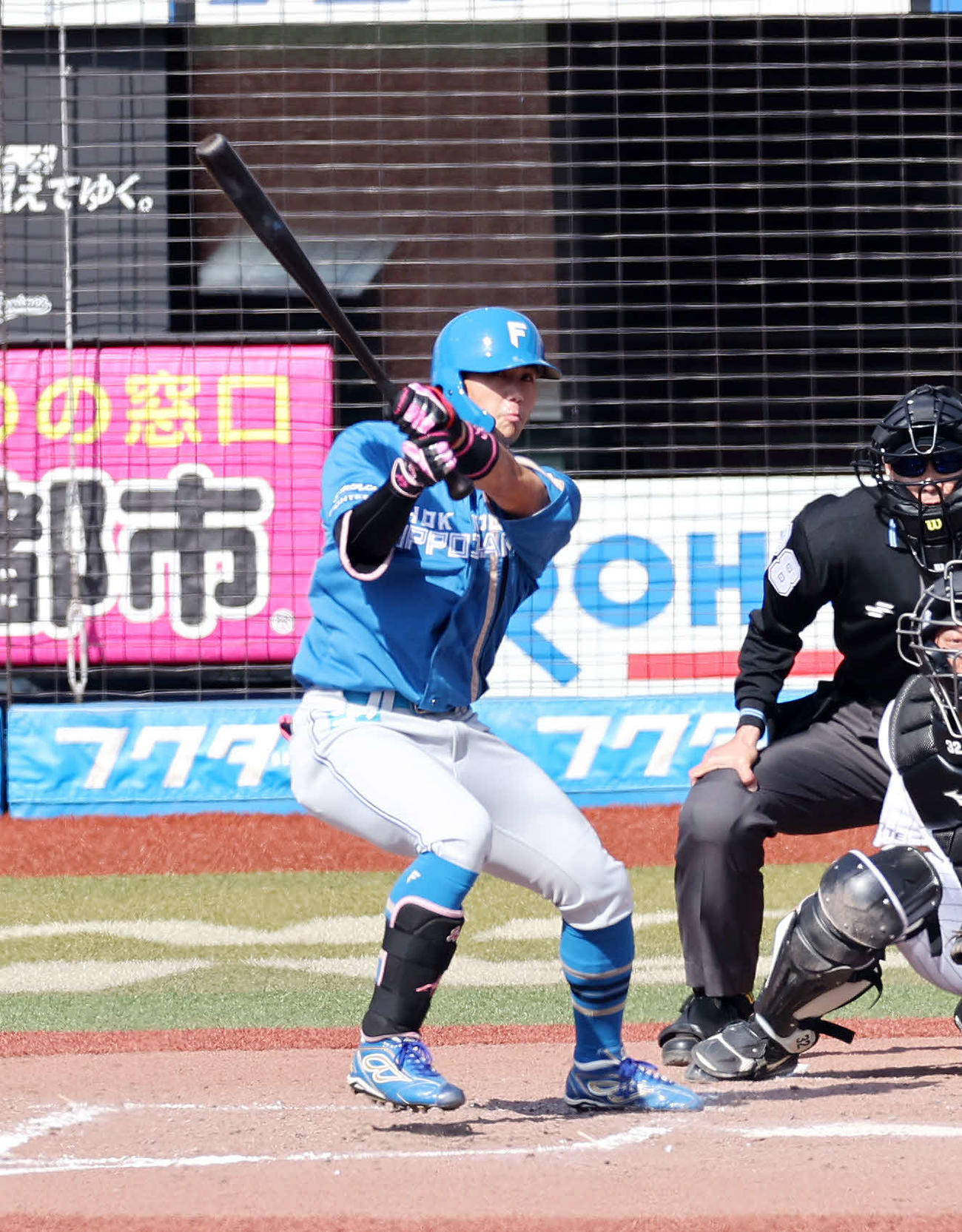 ロッテ対日本ハム　3回表日本ハム1死、細川は中前打を放つ（撮影・鈴木正人）