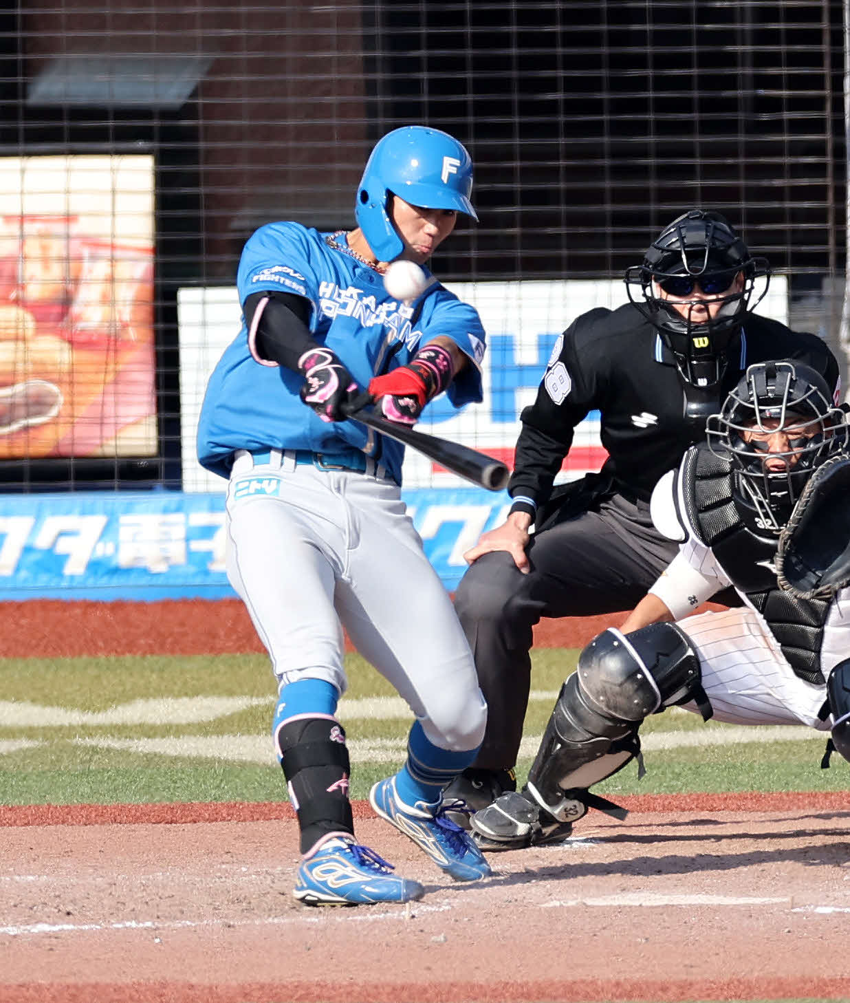 ロッテ対日本ハム　5回表日本ハム無死一塁、細川は右前打を放つ（撮影・鈴木正人）