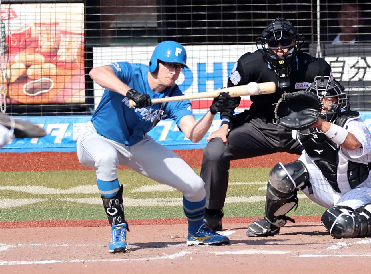 3回表日本ハム1死一塁、スティーブンソンはバントを決める（撮影・鈴木正人）