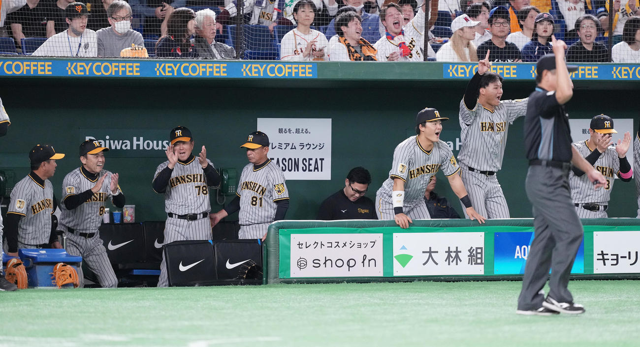 巨人対阪神　9回表阪神2死、小幡の打球がリプレー検証で右越えソロ本塁打となり、歓喜する岡田監督（左から2人目）（撮影・鈴木みどり）