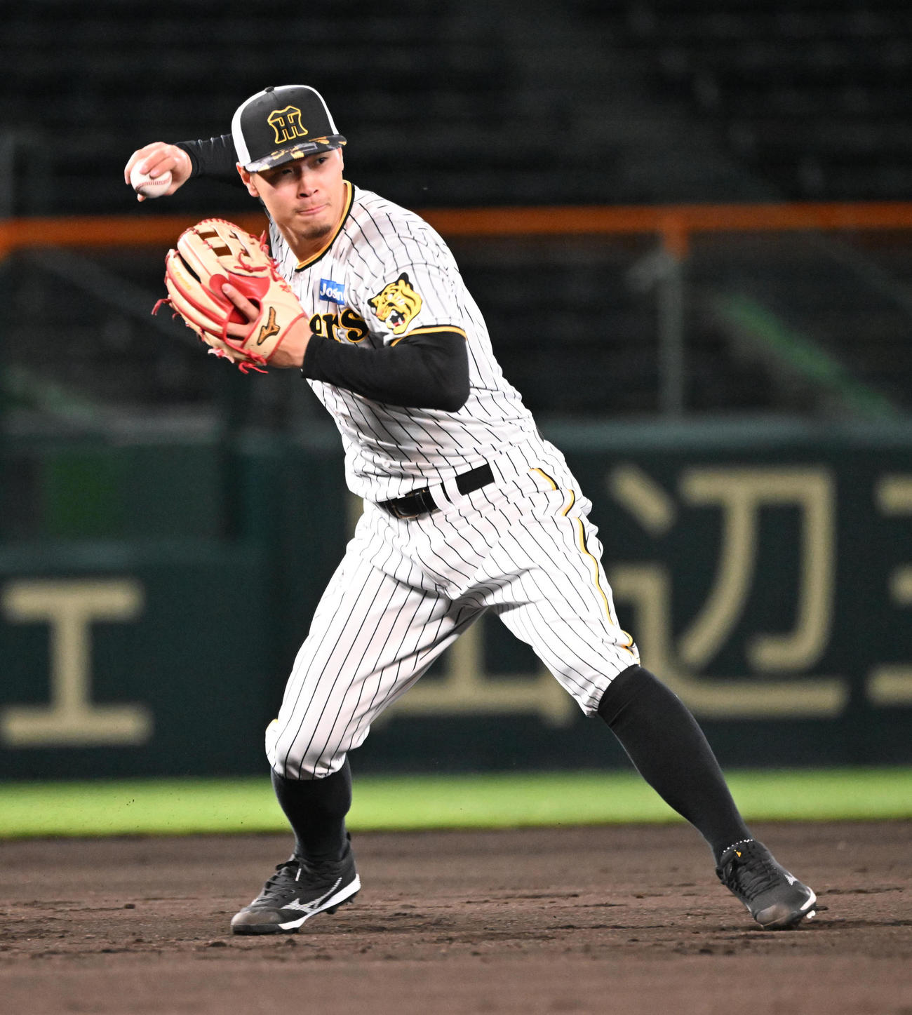 ナイター練習でノックを受ける阪神佐藤（撮影・和賀正仁）