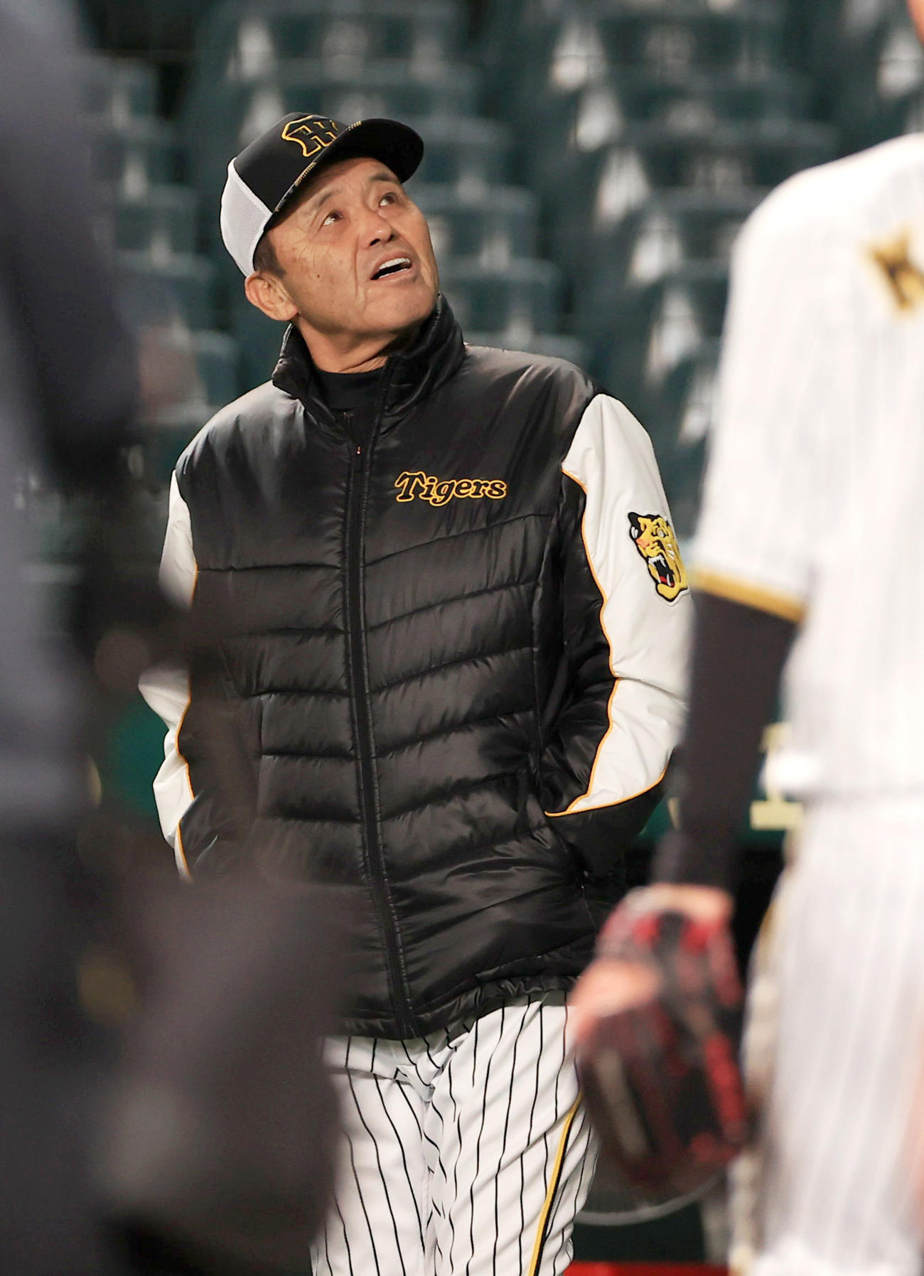 フライ処理の確認をする阪神岡田監督（撮影・上山淳一）