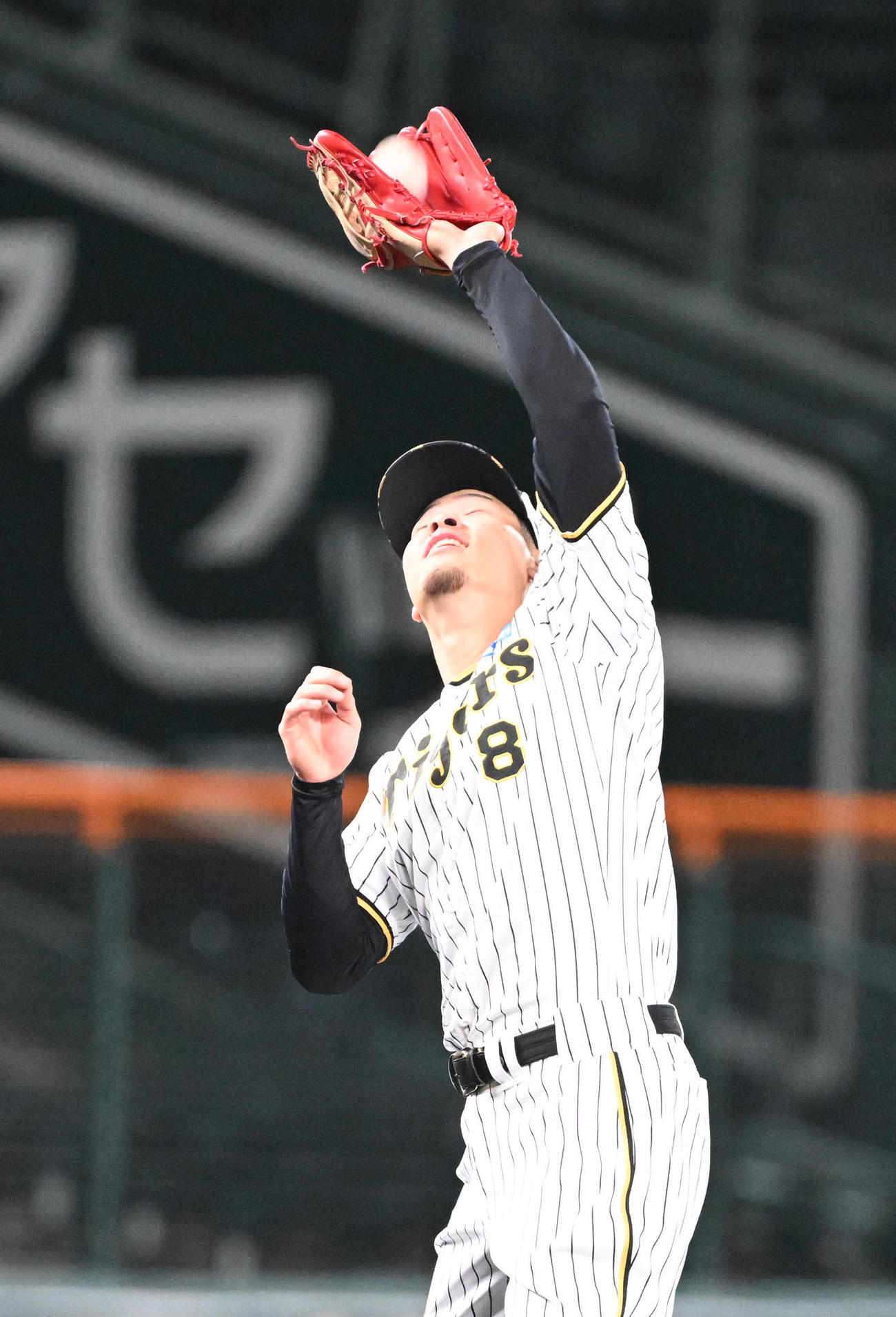 ナイター練習で飛球を受ける阪神佐藤（撮影・和賀正仁）