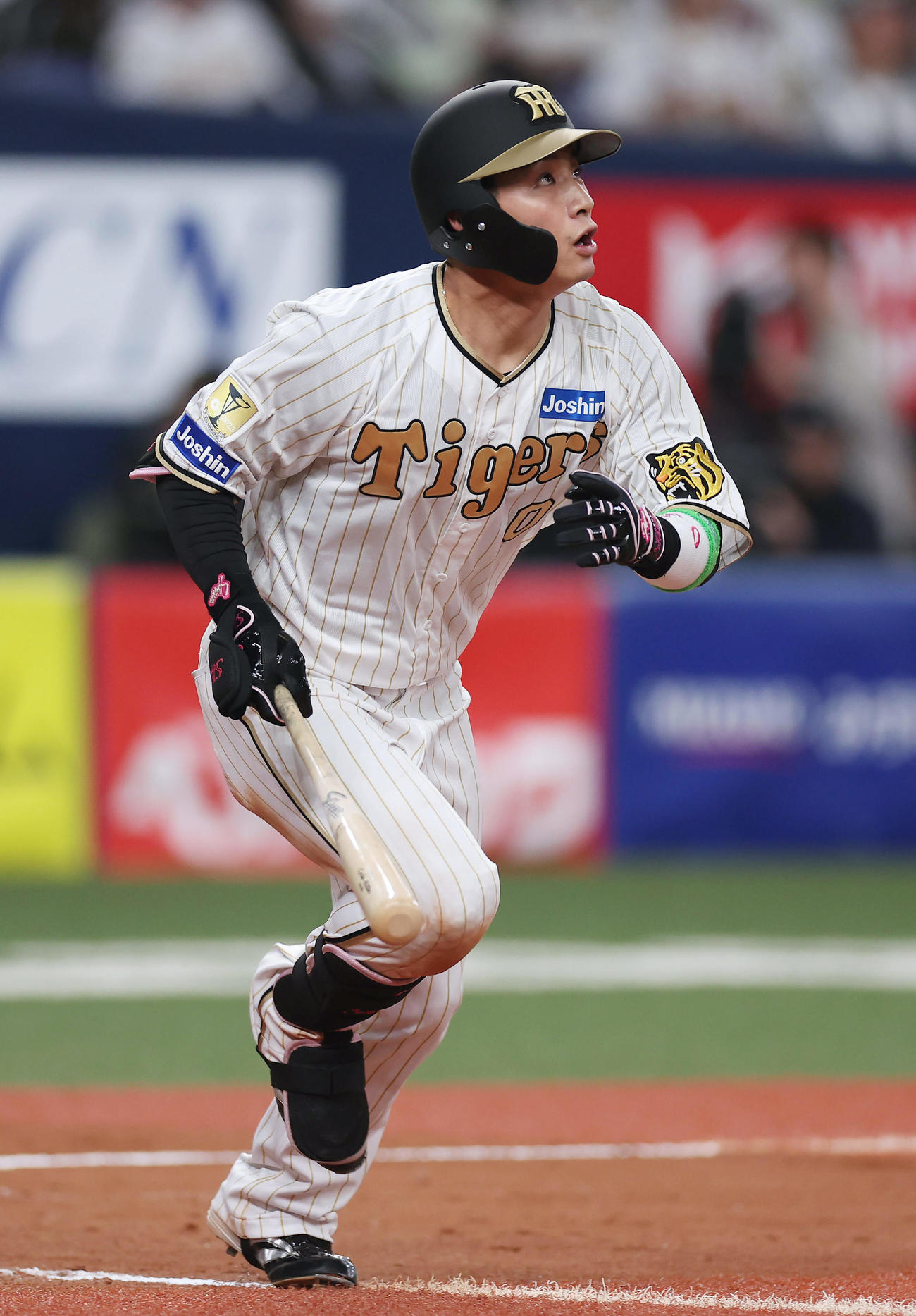 阪神対DeNA 7回裏阪神2死、右越え本塁打を放つ木浪（撮影・前田充）