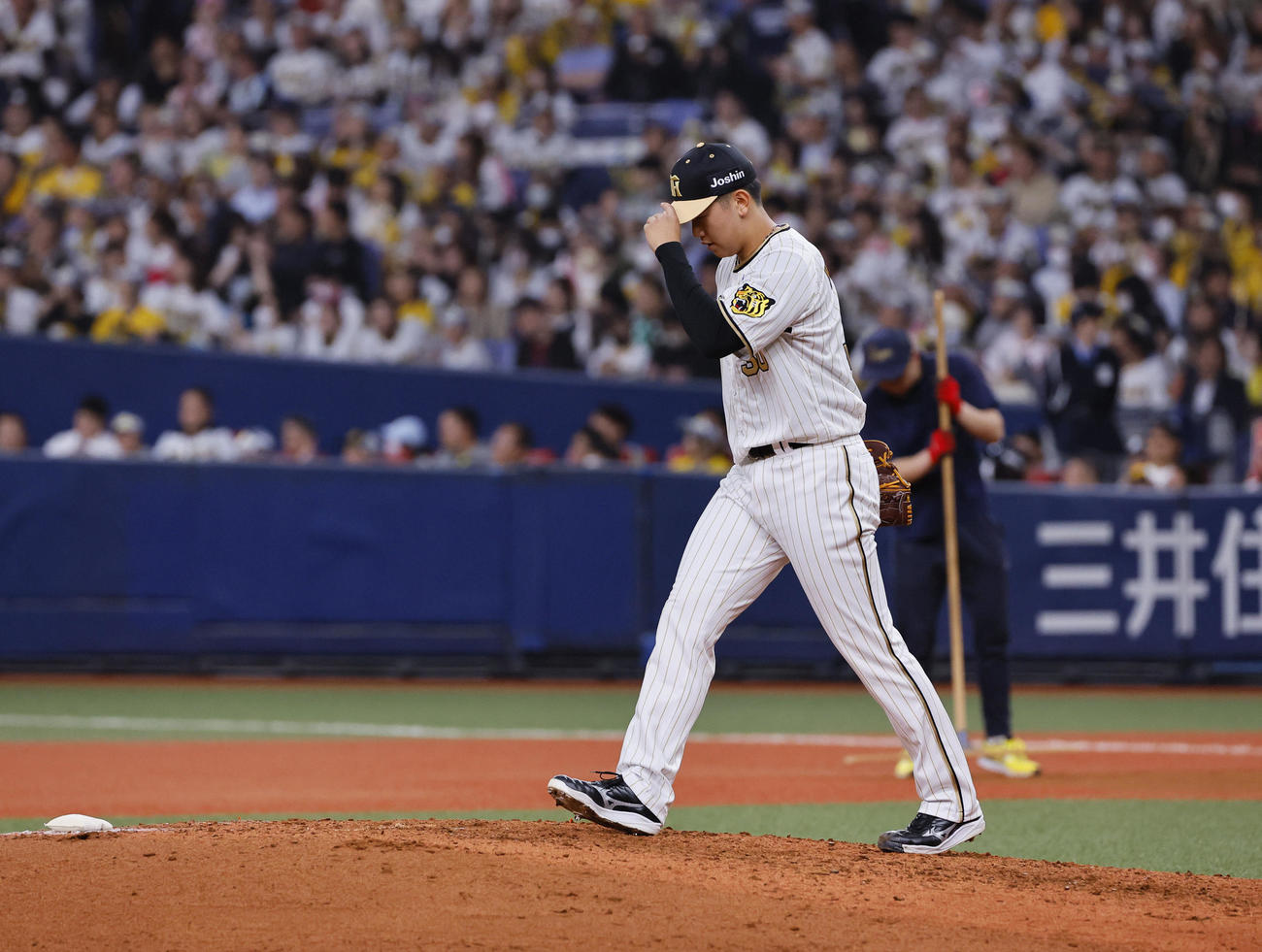阪神対DeNA 8回、4番手でマウンドに上がる阪神門別（撮影・藤尾明華）