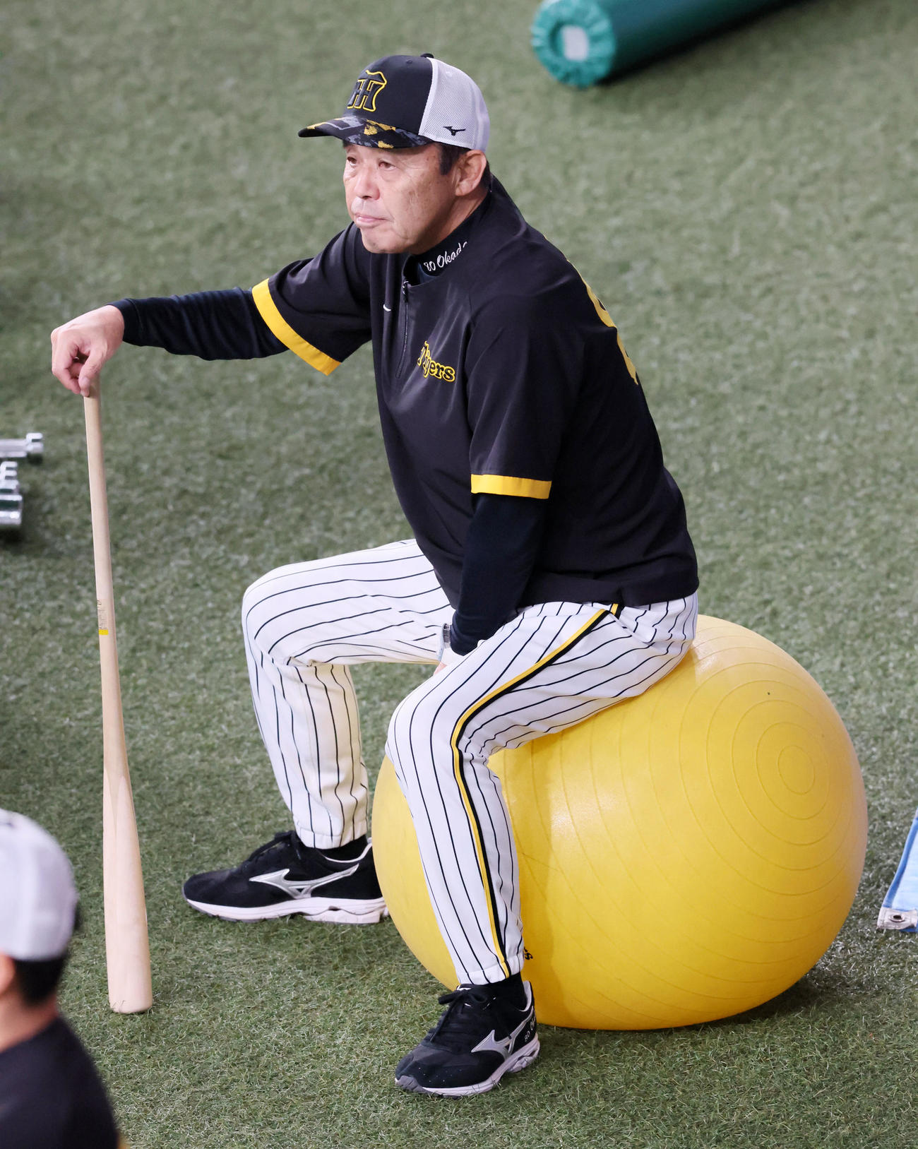 阪神対DeNA　外野でバランスボールに座る岡田監督（撮影・加藤哉）