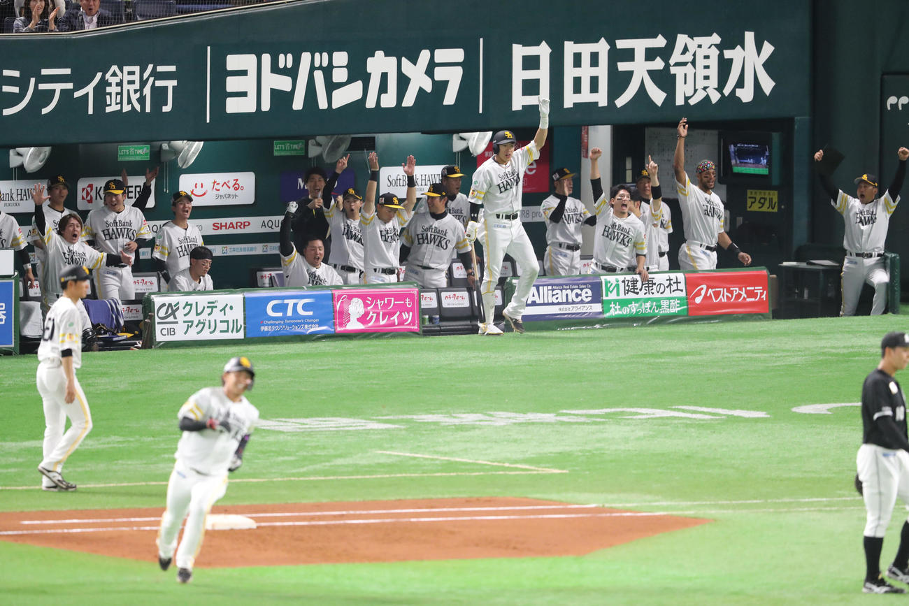 ソフトバンク対ロッテ　1回裏ソフトバンク無死、今宮は左中間に先制本塁打を放ち、盛り上がるナイン（撮影・梅根麻紀）
