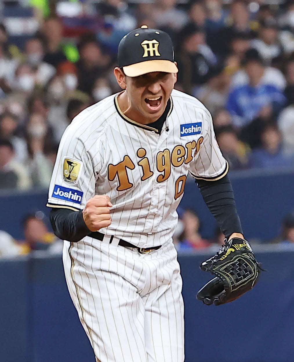 阪神対DeNA 8回表DeNA2死、石上から三振を奪いガッツポーズをするゲラ（撮影・上田博志）