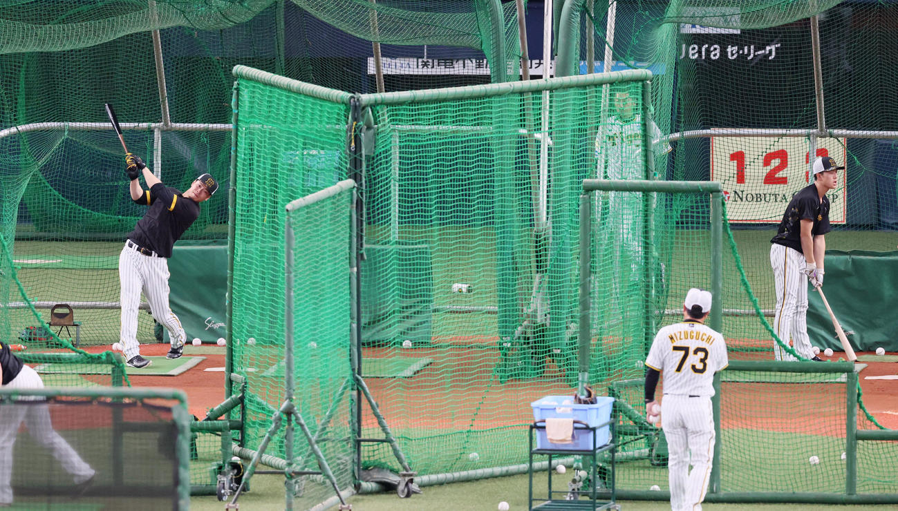阪神対DeNA　早出特打を行う佐藤輝（左）と小幡（撮影・加藤哉）