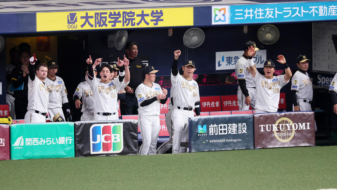阪神対DeNA 4回裏阪神1死二、三塁、大山の左適時打で得点し喜ぶベンチのナイン（撮影・加藤哉）