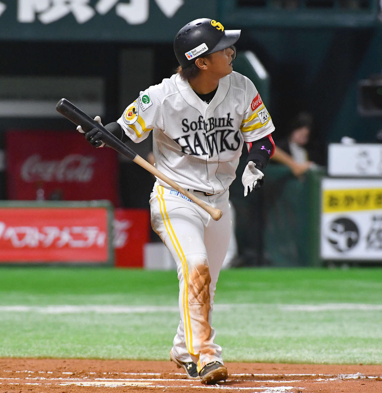 ソフトバンク対ロッテ　6回裏ソフトバンク2死、今宮は左越え本塁打を放つ（撮影・岩下翔太）