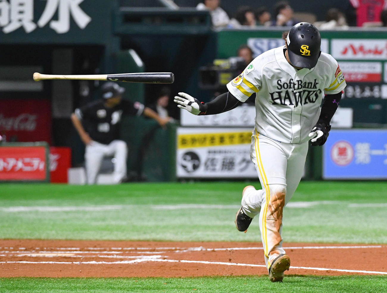 ソフトバンク対ロッテ　6回裏ソフトバンク2死、今宮は左越え本塁打を放つ（撮影・岩下翔太）