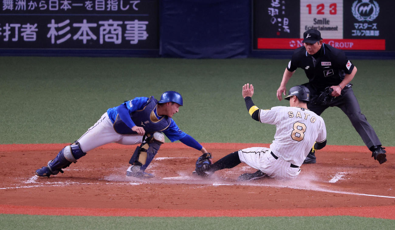 阪神対DeNA 4回裏阪神1死一、三塁、木浪の一ゴロで本塁突入の佐藤輝。捕手は松尾（撮影・加藤哉）