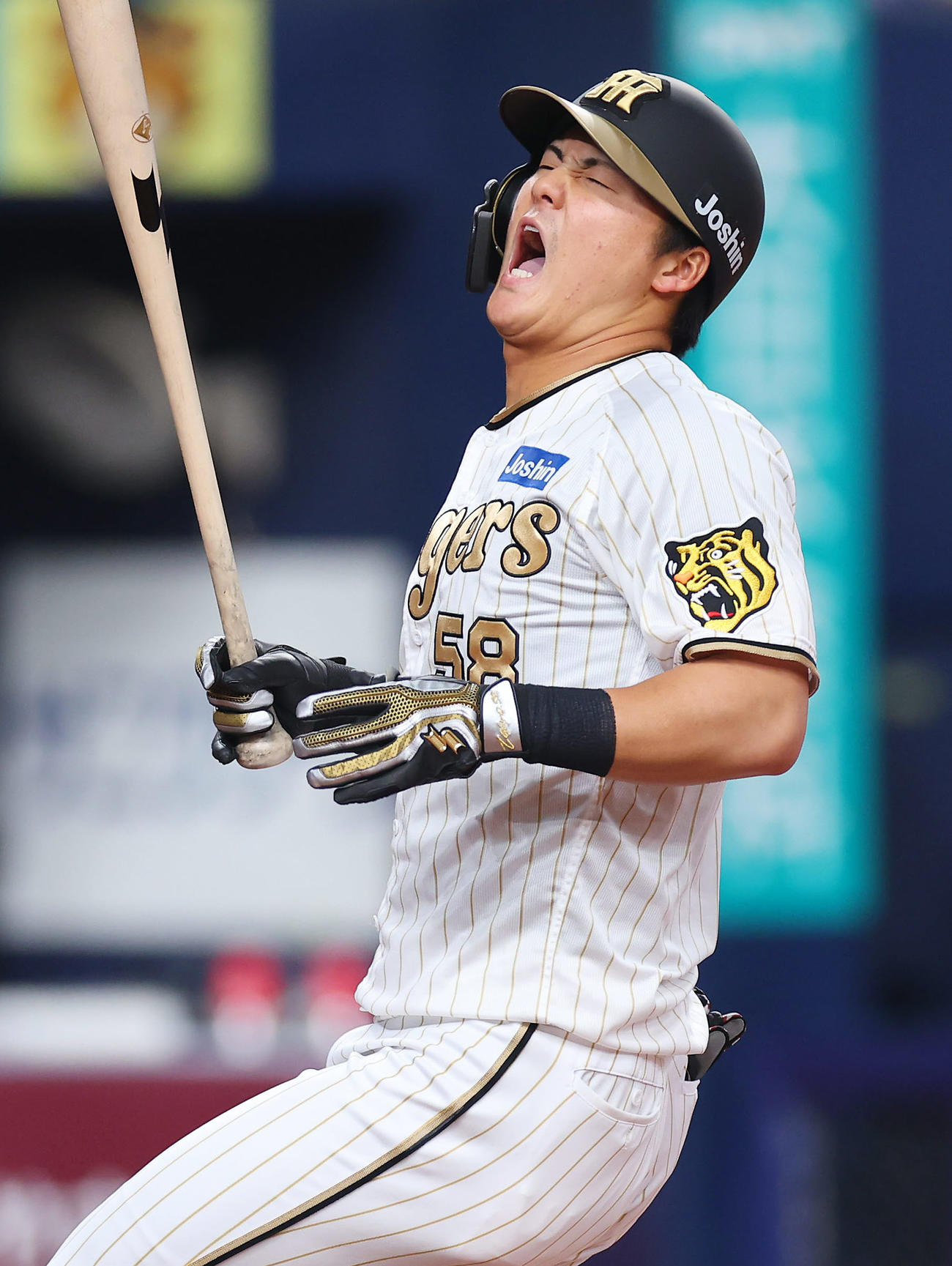 阪神対DeNA 2回裏阪神1死、死球を受ける前川（撮影・前田充）