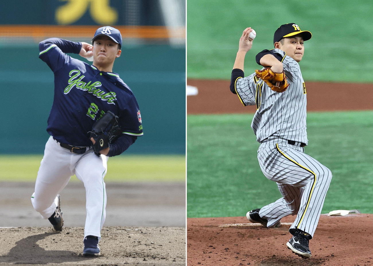 ヤクルト吉村貢司郎（左）阪神大竹耕太郎