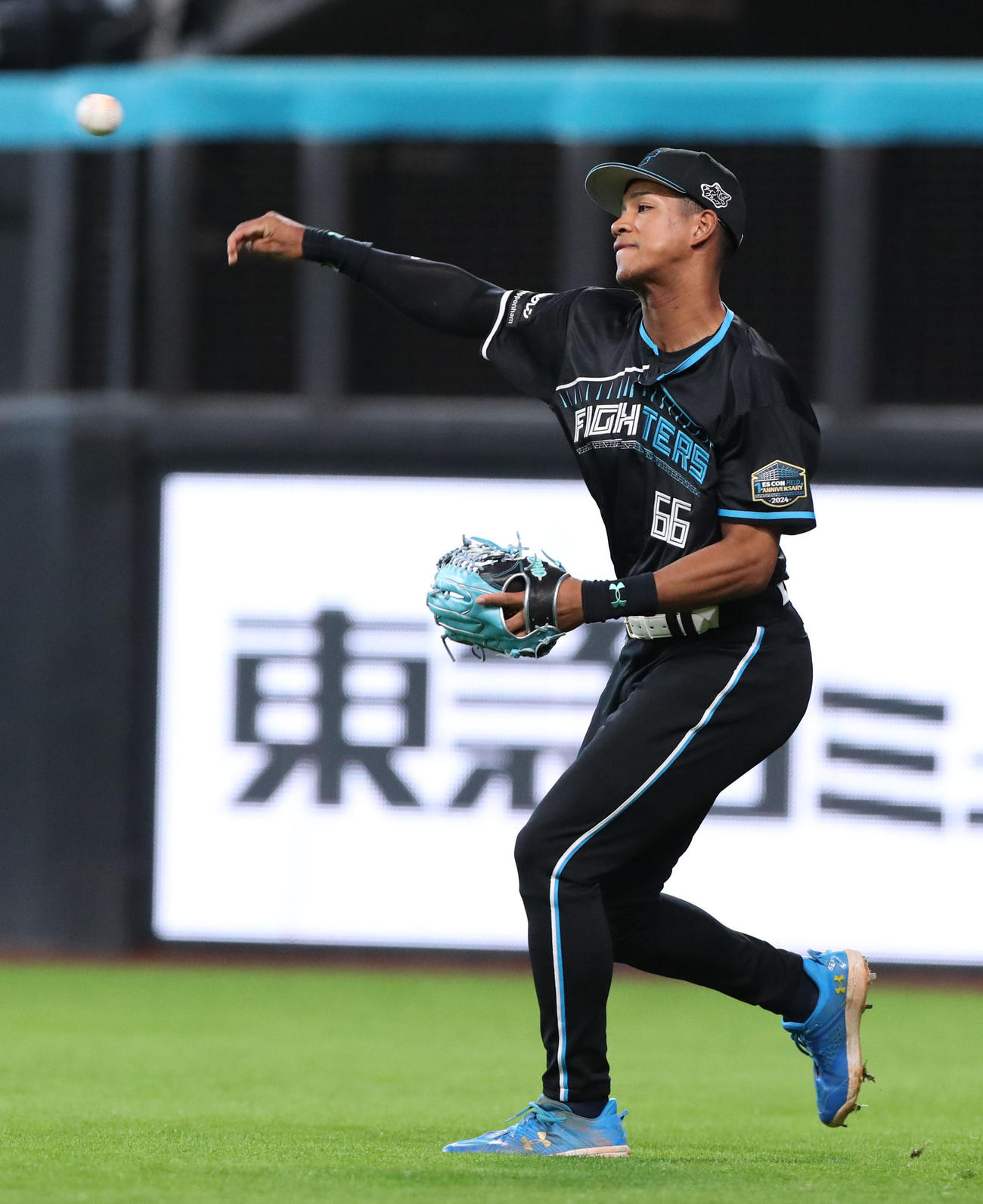 日本ハム対西武　限定ユニホームで練習する日本ハム万波（撮影・佐藤翔太）