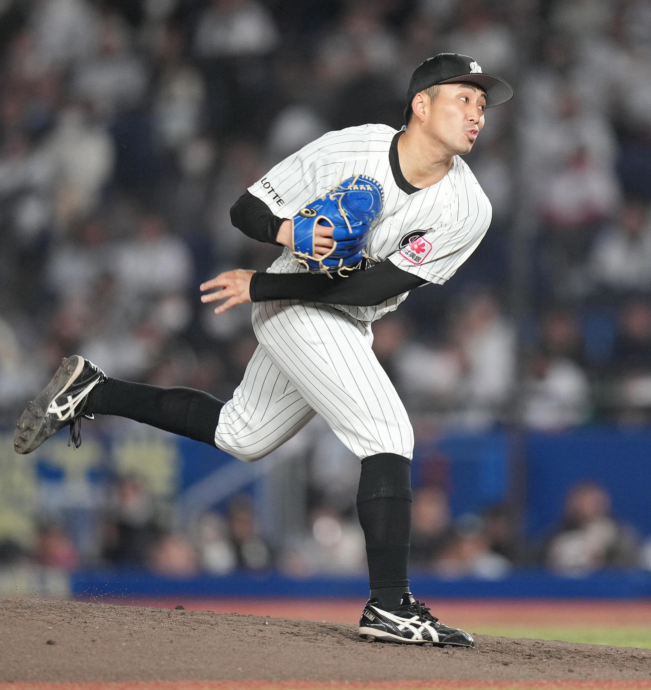 ロッテ対オリックス　先発し力投するロッテ小島（撮影・鈴木みどり）