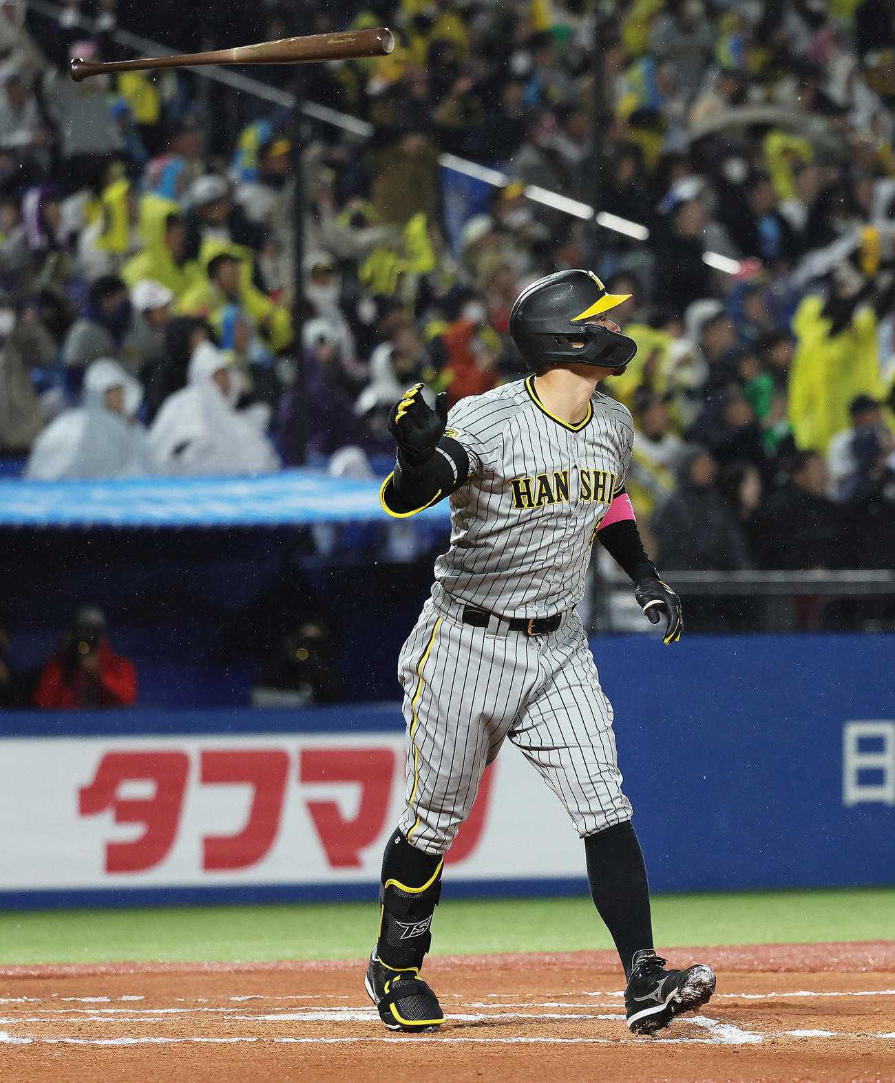 ヤクルト対阪神　10回表阪神1死、佐藤輝は右中間へ本塁打を放つ（撮影・足立雅史）