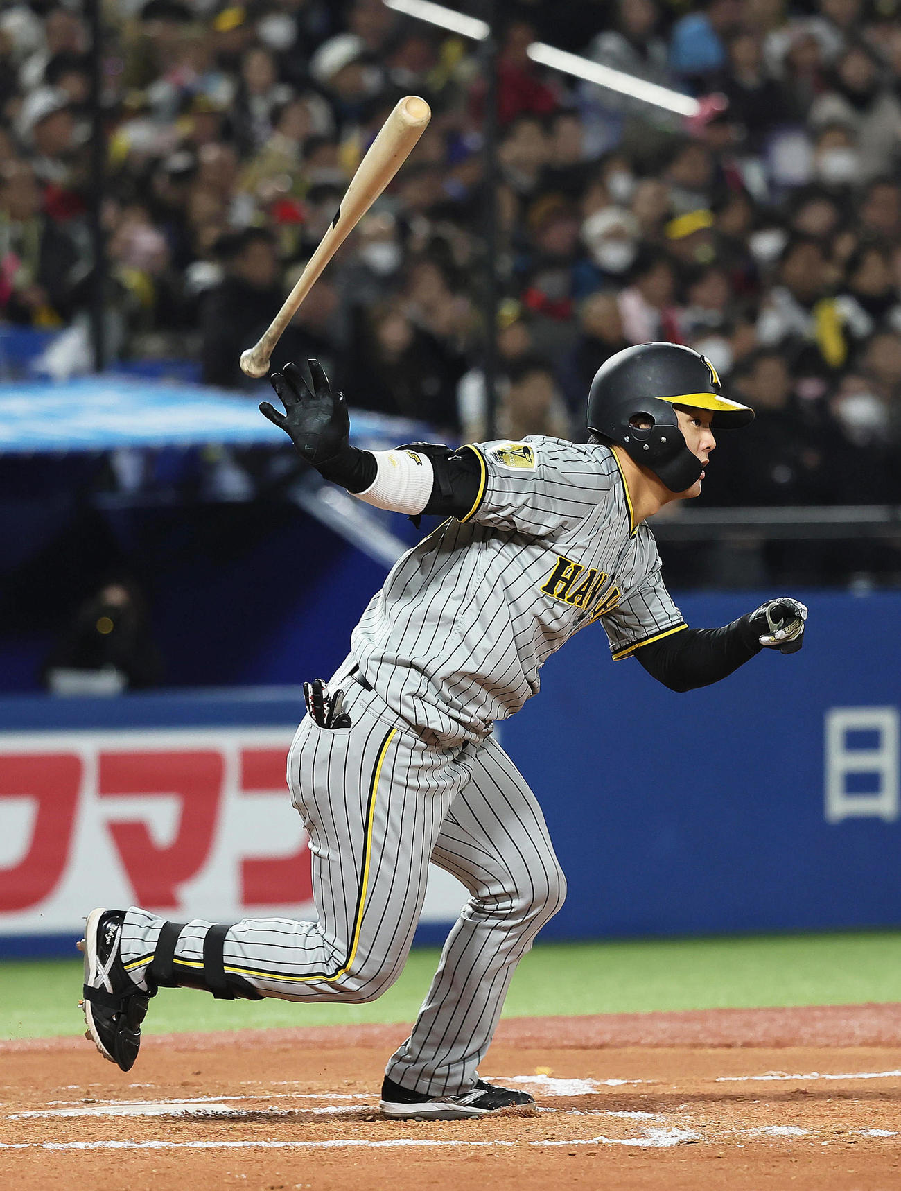 ヤクルト対阪神　7回表阪神1死、代打前川は右前打を放つ（撮影・足立雅史）