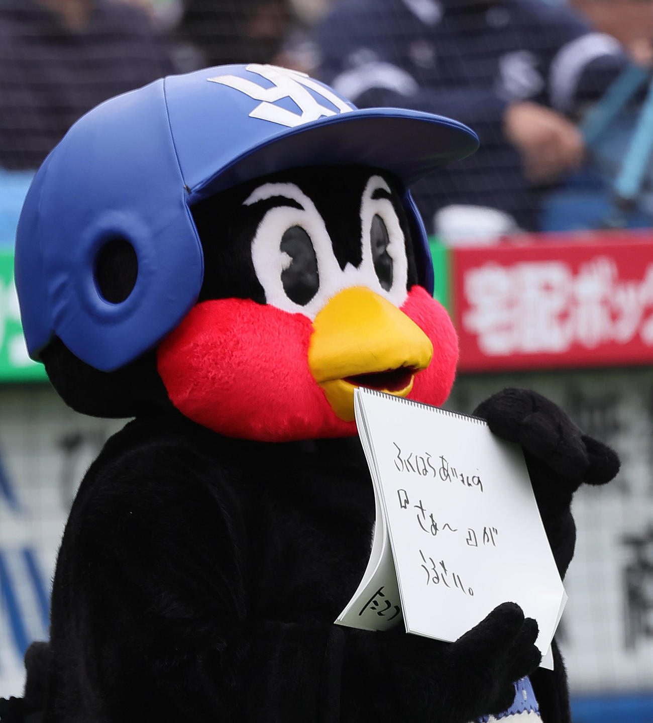 始球式を務める石川さんをフリップ芸でイジるつば九郎（撮影・足立雅史）