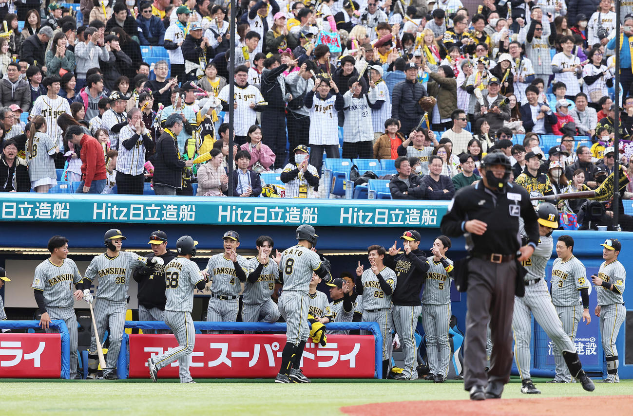 ヤクルト対阪神　7回表阪神無死一塁、佐藤輝の2点本塁打に盛り上がるベンチ（撮影・足立雅史）