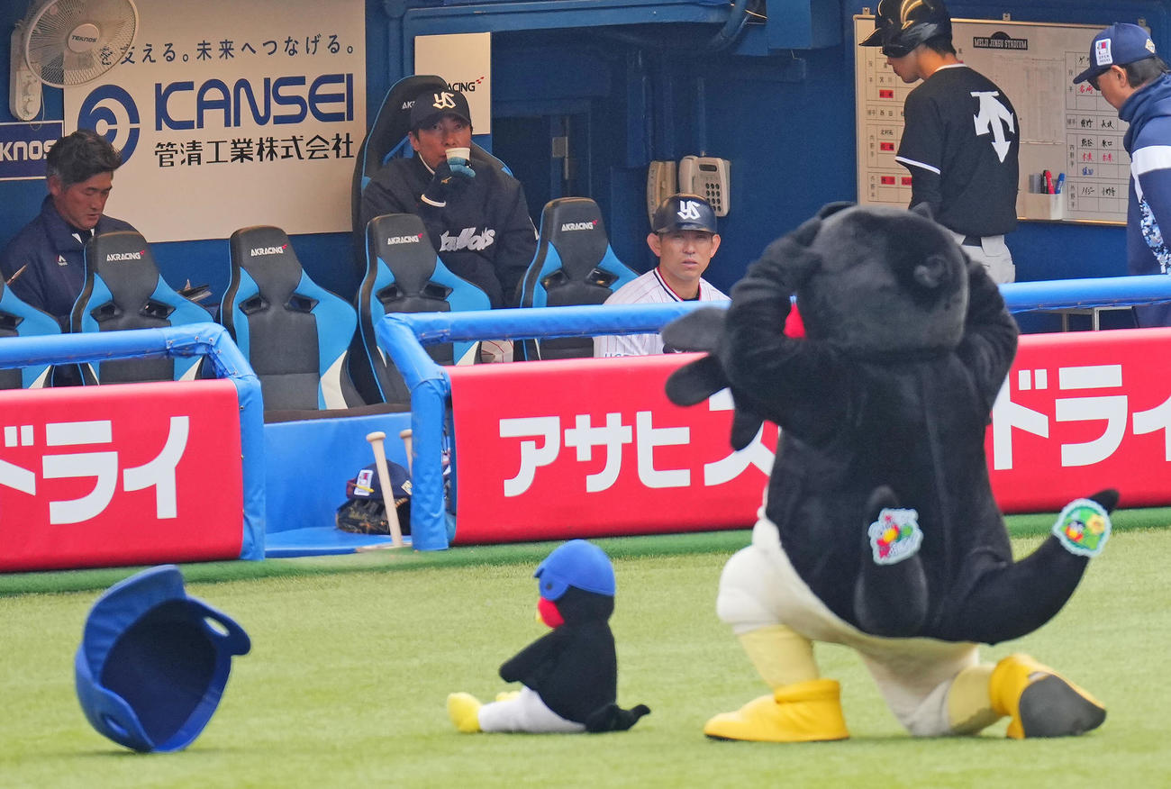 ヤクルト対阪神　ベンチからつば九郎の「くるりんぱ」を見つめるヤクルト高津監督（中央）（撮影・垰建太）