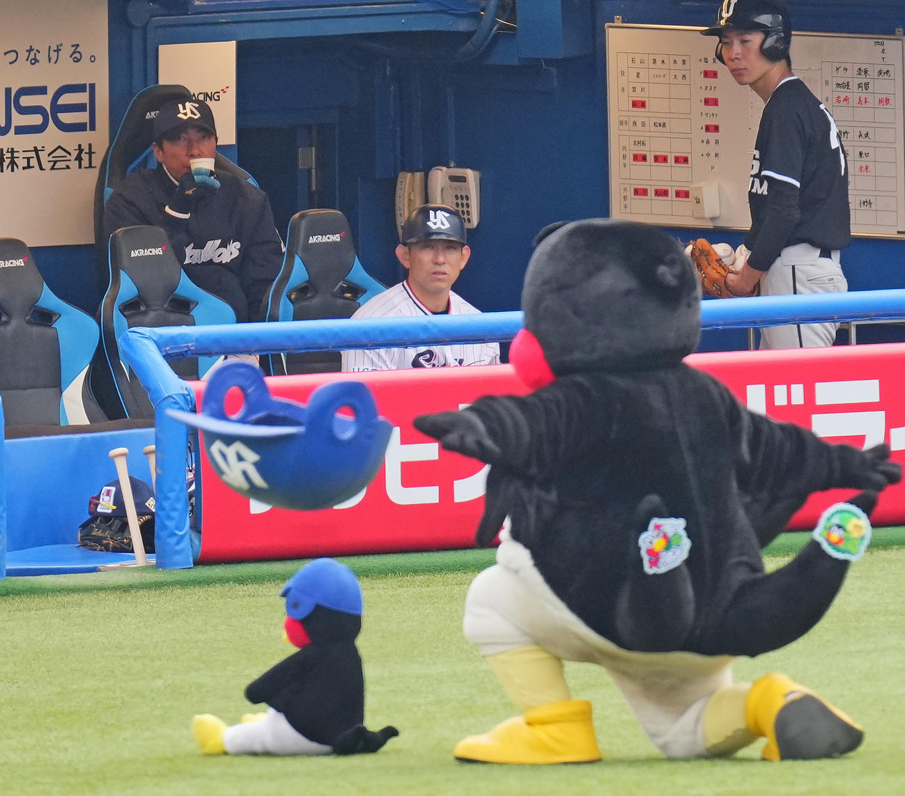ヤクルト対阪神　ベンチからつば九郎の「くるりんぱ」を見つめるヤクルト高津監督（左）（撮影・垰建太）