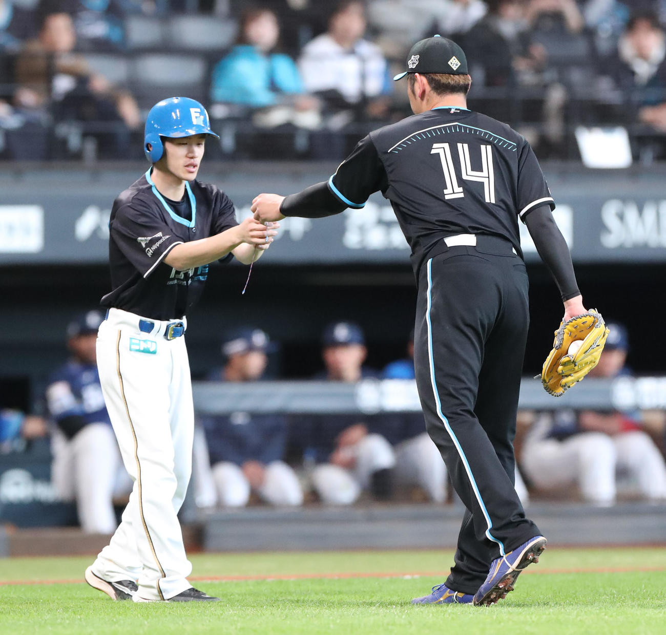 日本ハム対西武　3回表、何かをひろいボールボーイに手渡す日本ハム加藤貴（撮影・佐藤翔太）
