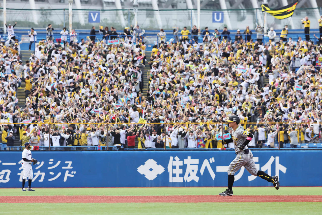 ヤクルト対阪神　7回表阪神無死一塁、佐藤輝（手前）の2点本塁打に盛り上がるファン（撮影・足立雅史）