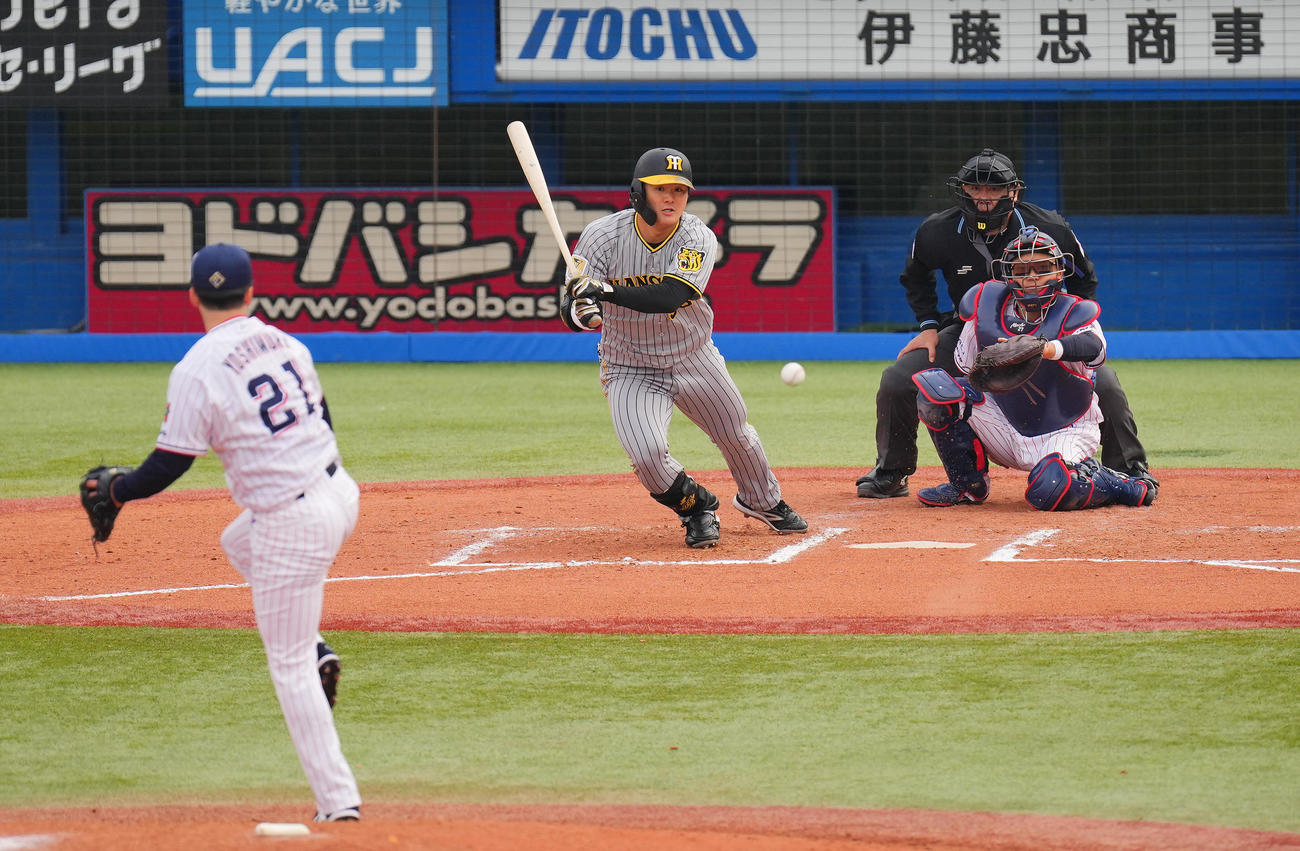 ヤクルト対阪神　7回表阪神無死、中前打を放つ前川。投手吉村（撮影・垰建太）