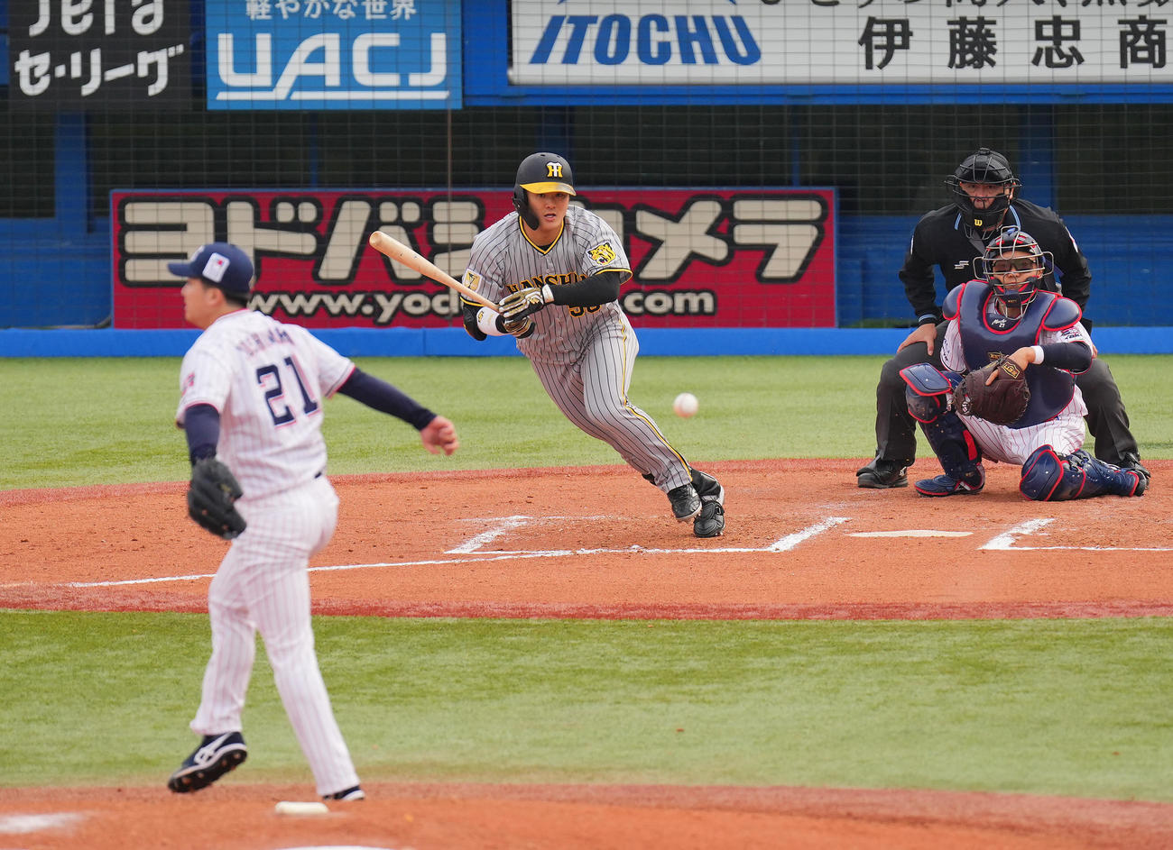 ヤクルト対阪神　7回表阪神無死、中前打を放つ前川。投手吉村（撮影・垰建太）