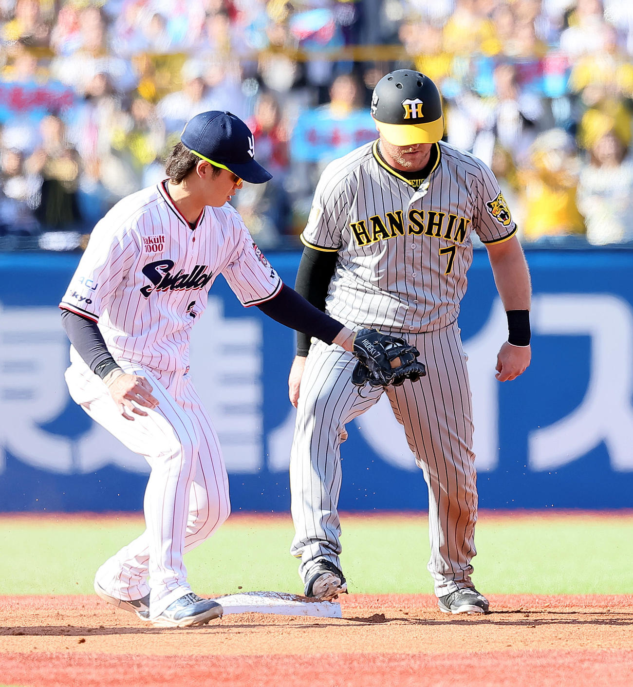 ヤクルト対阪神　6回表阪神1死一塁、ノイジー（右）は二塁盗塁を決める（撮影・足立雅史）