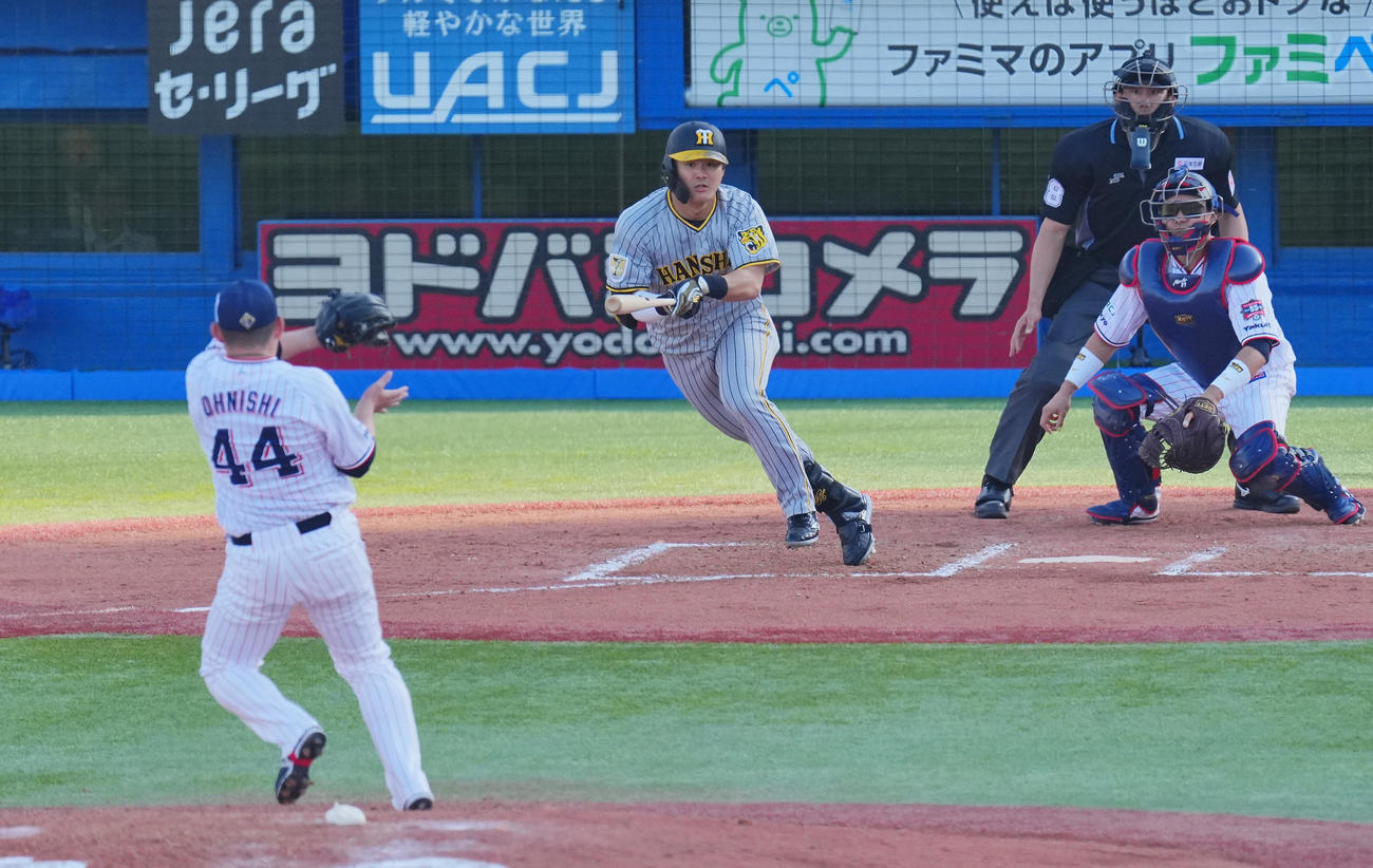 ヤクルト対阪神　8回表阪神無死、投ゴロに倒れる前川。投手大西（撮影・垰建太）