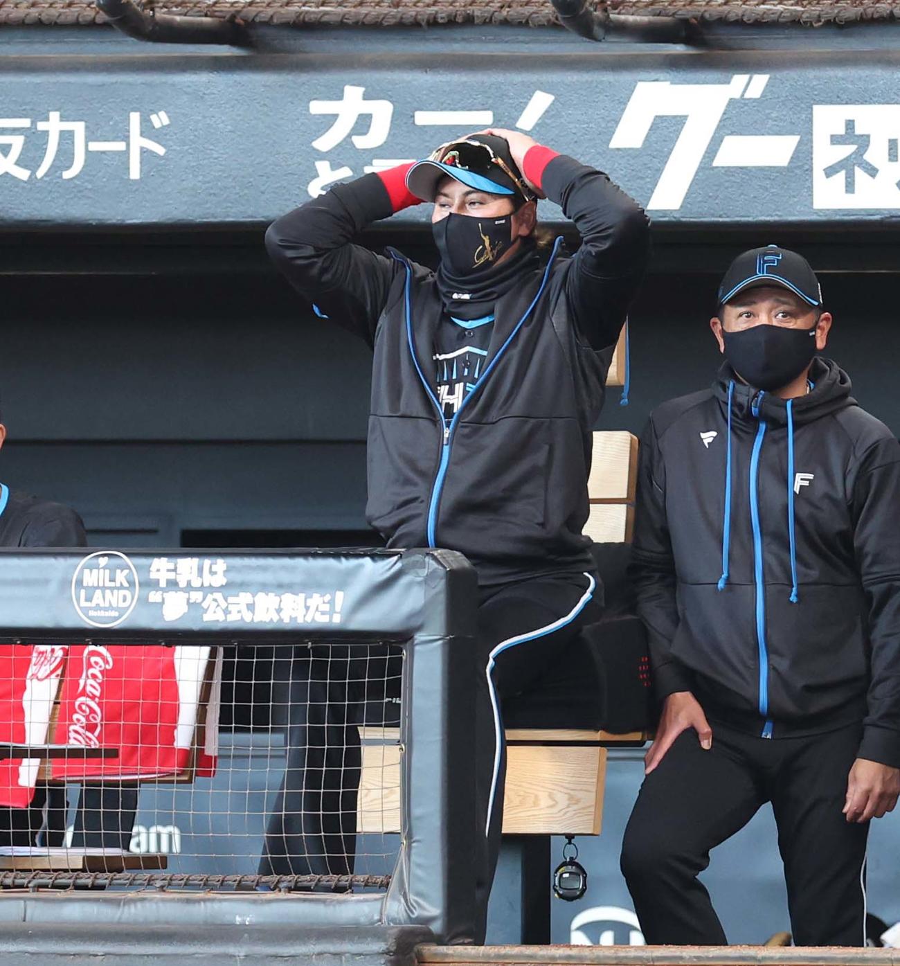 日本ハム対西武　試合を見つめる新庄監督（撮影・黒川智章）