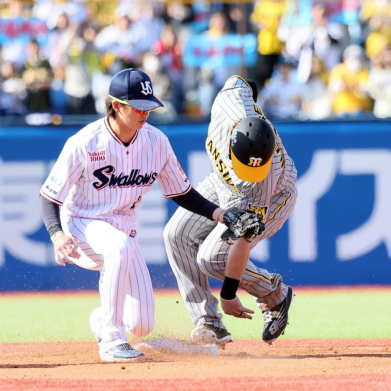 ヤクルト対阪神　6回表阪神1死一塁、ノイジー（右）は二塁盗塁を決める（撮影・足立雅史）