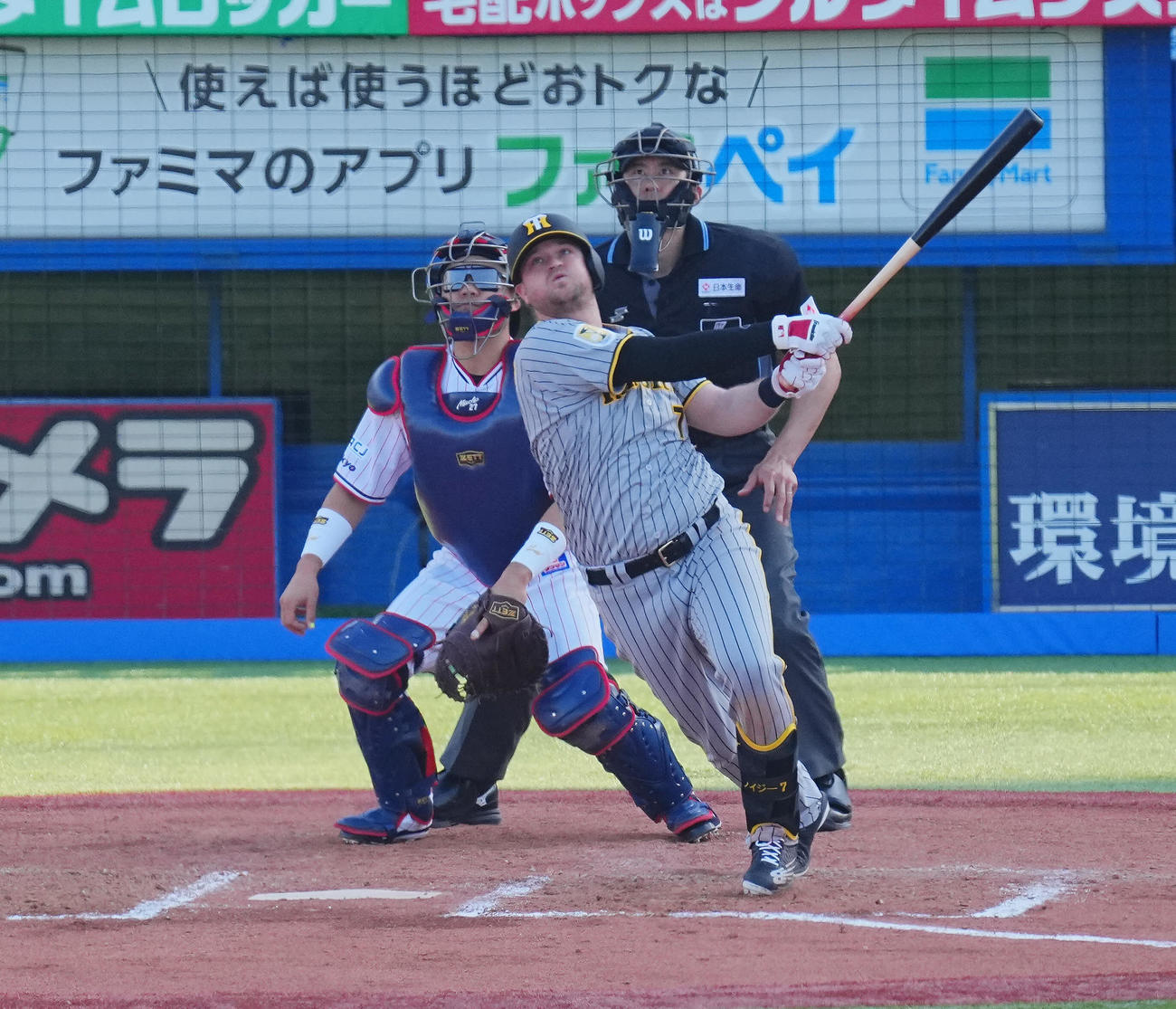 ヤクルト対阪神　8回表阪神2死、中前打を放つノイジー（撮影・垰建太）