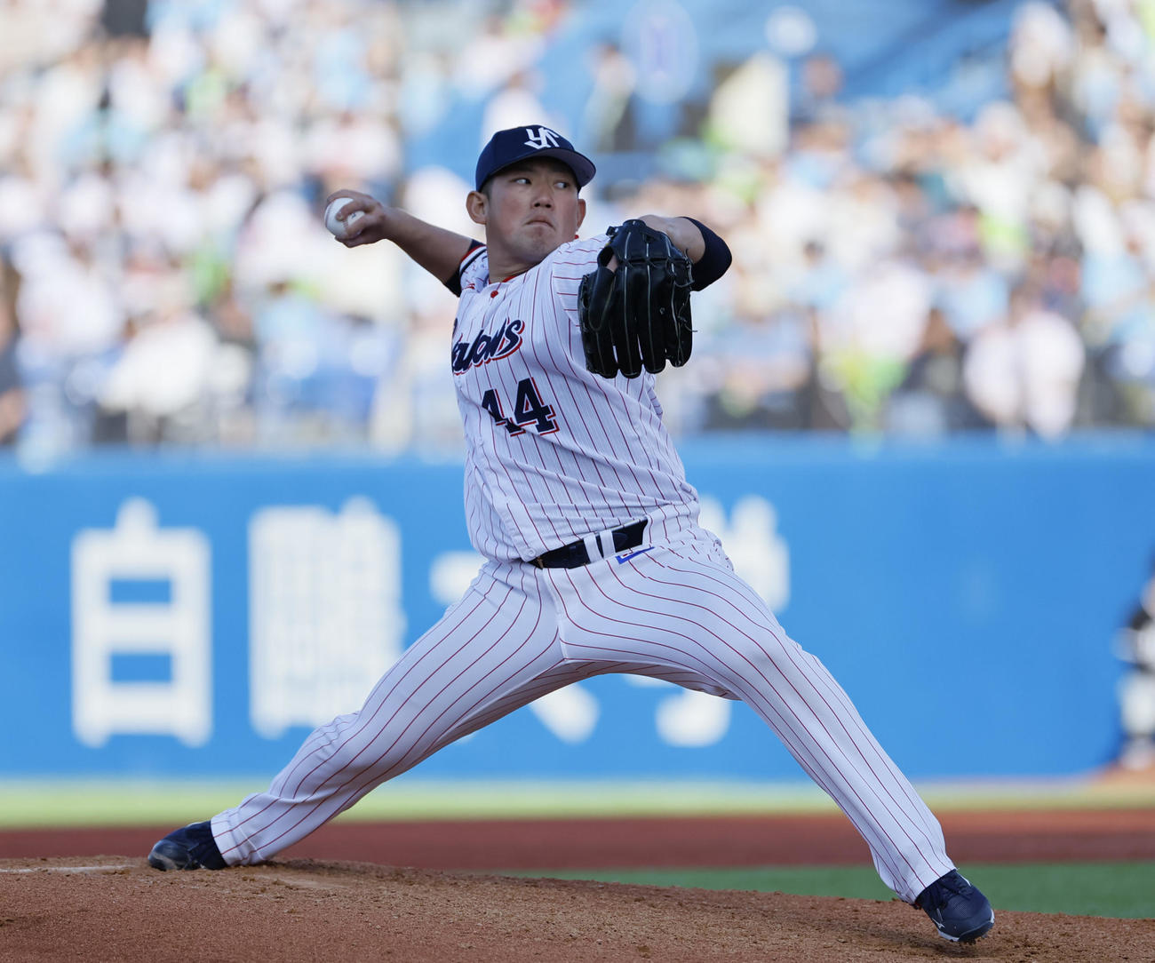 ヤクルト対阪神　8回、3番手で登板したヤクルト大西（撮影・藤尾明華）