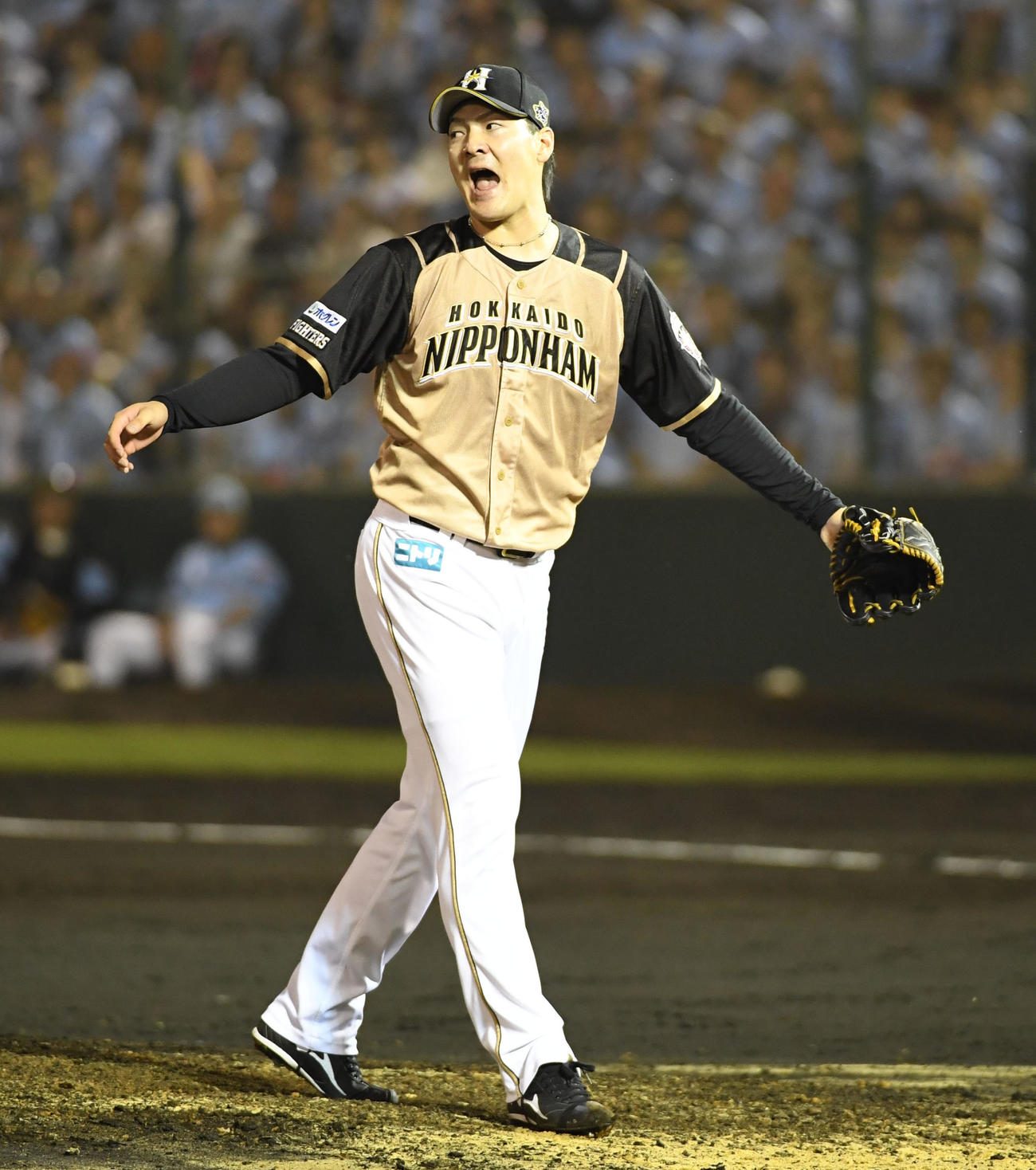 19年7月17日、北九州でのソフトバンク戦に登板し勝利投手となった日本ハム有原航平