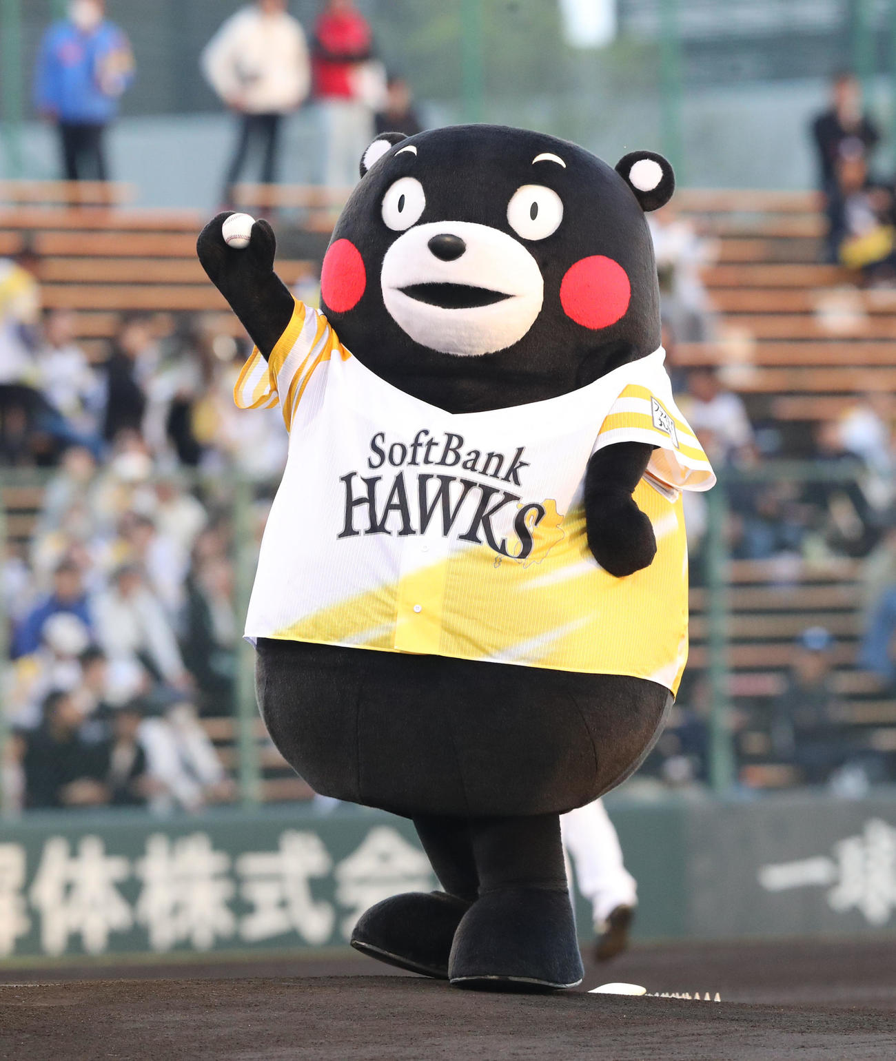 ソフトバンク対日本ハム　始球式に登板した熊本の最強アイドル・くまモン！！投球も見事！（撮影・梅根麻紀）